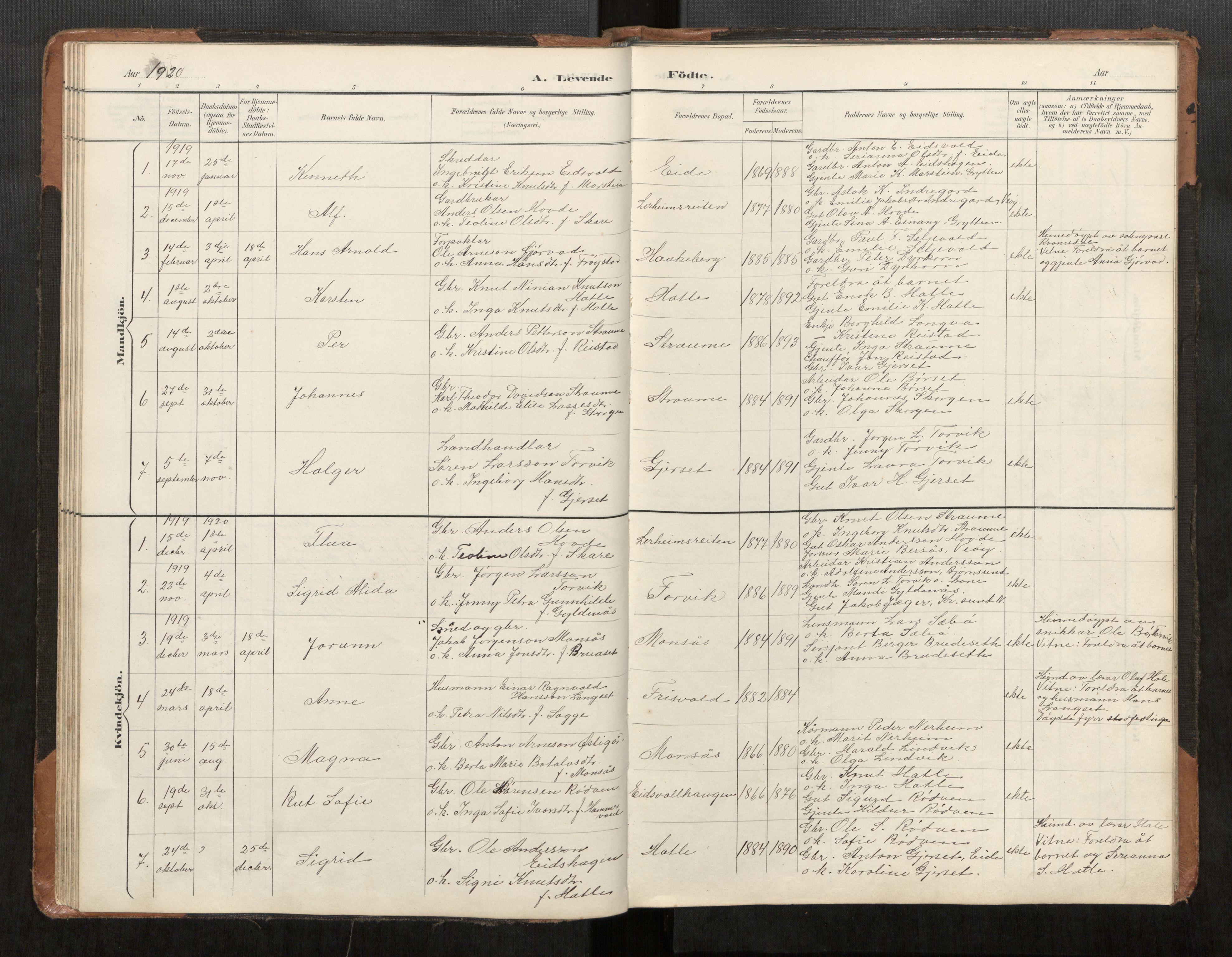 Ministerialprotokoller, klokkerbøker og fødselsregistre - Møre og Romsdal, AV/SAT-A-1454/542/L0561: Parish register (copy) no. 542C03, 1893-1931