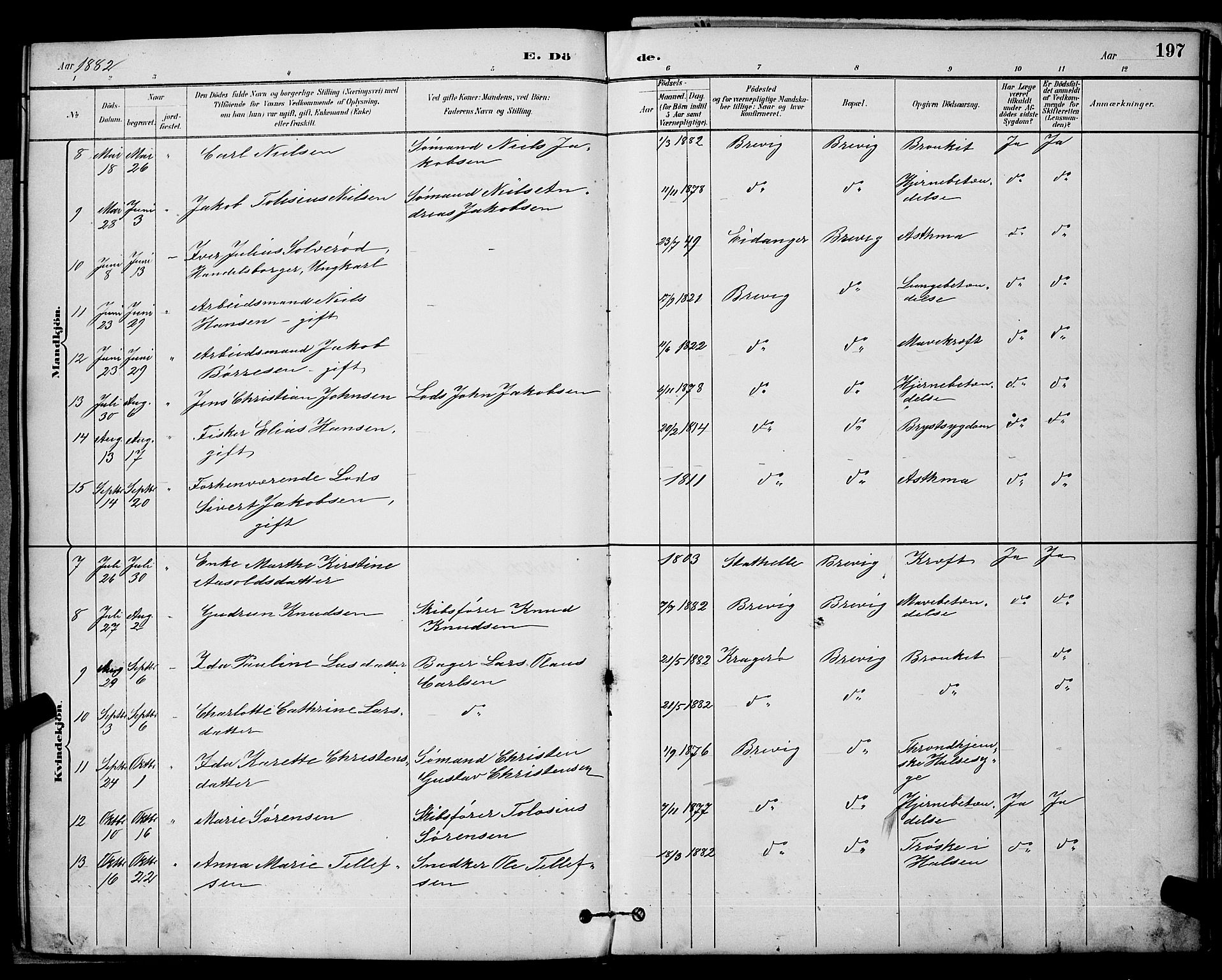 Brevik kirkebøker, SAKO/A-255/G/Ga/L0004: Parish register (copy) no. 4, 1882-1900, p. 197