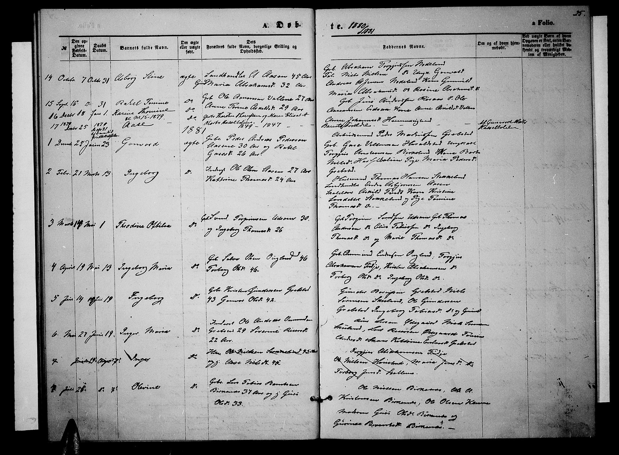 Søgne sokneprestkontor, SAK/1111-0037/F/Fb/Fba/L0003: Parish register (copy) no. B 3, 1874-1887, p. 25