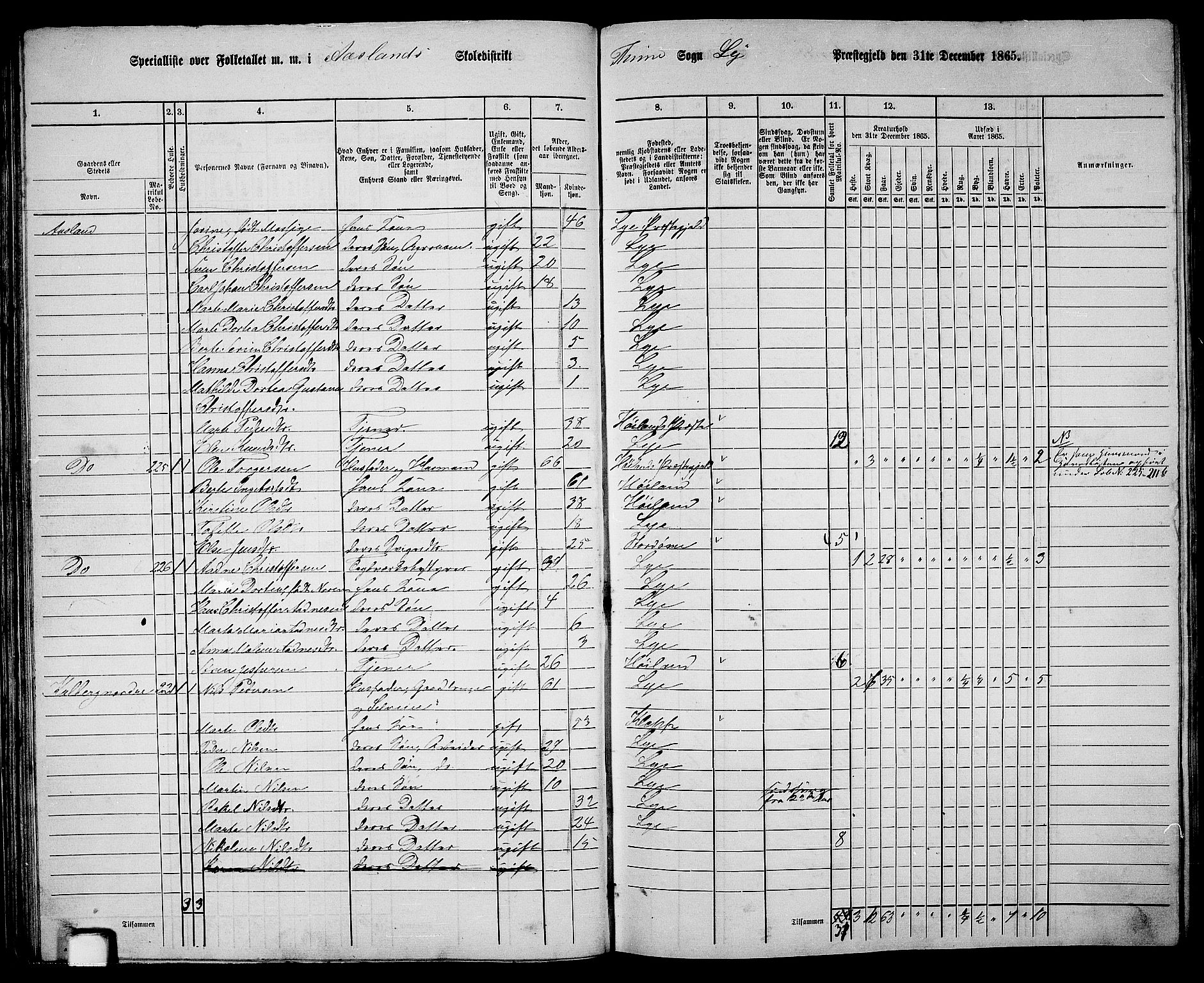 RA, 1865 census for Lye, 1865, p. 45