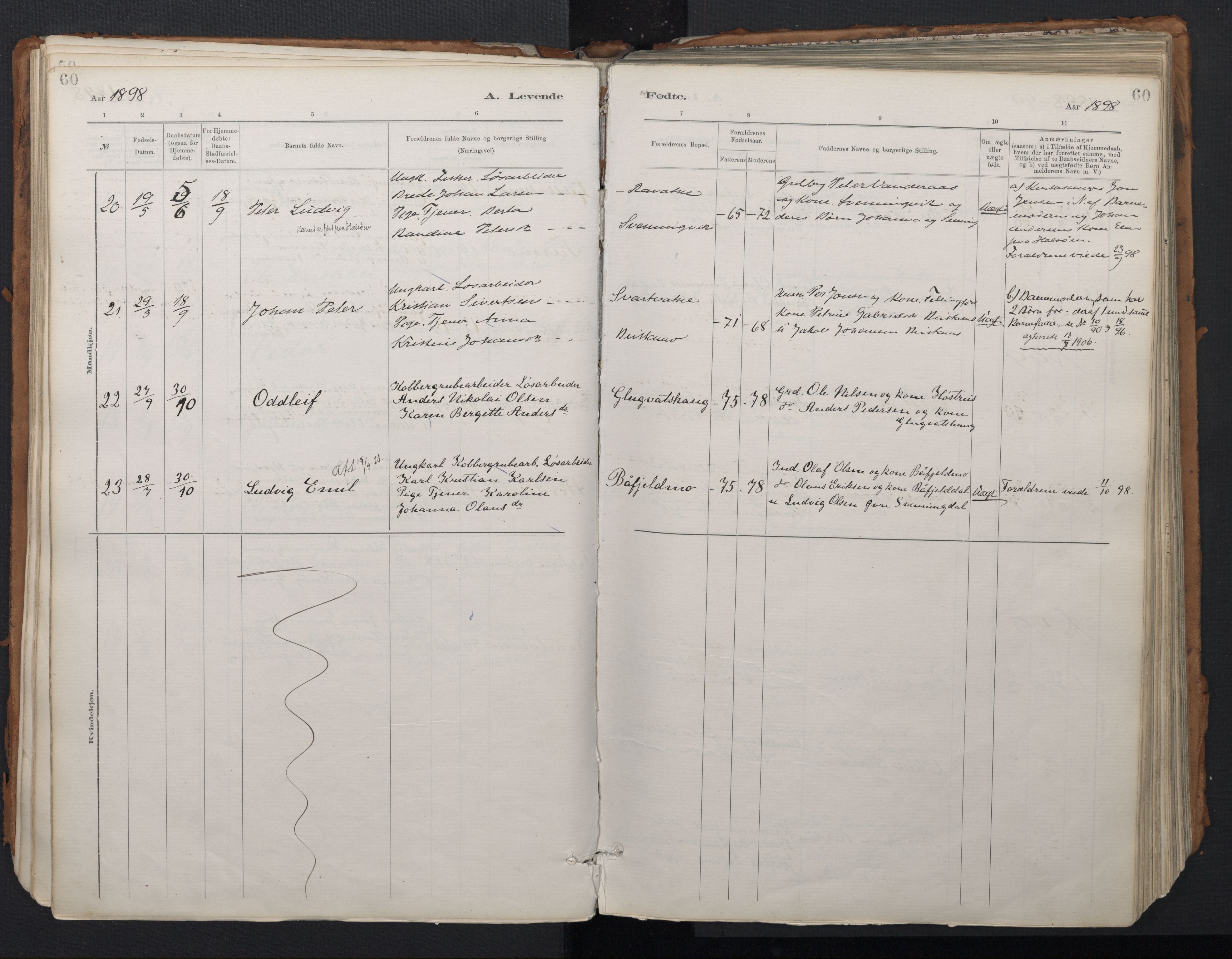 Ministerialprotokoller, klokkerbøker og fødselsregistre - Nordland, SAT/A-1459/824/L0338: Parish register (official) no. 824A01, 1880-1915, p. 60