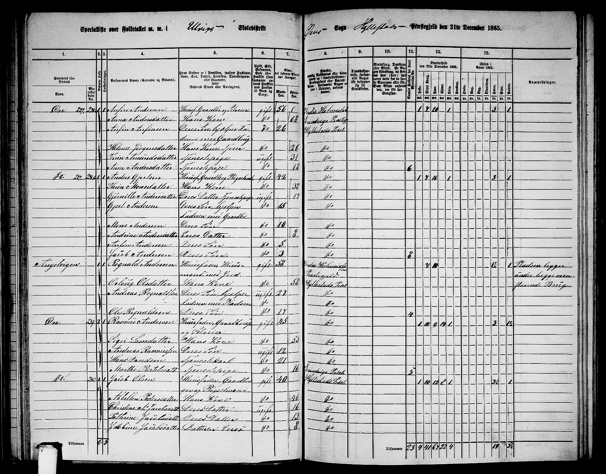 RA, 1865 census for Hyllestad, 1865, p. 65