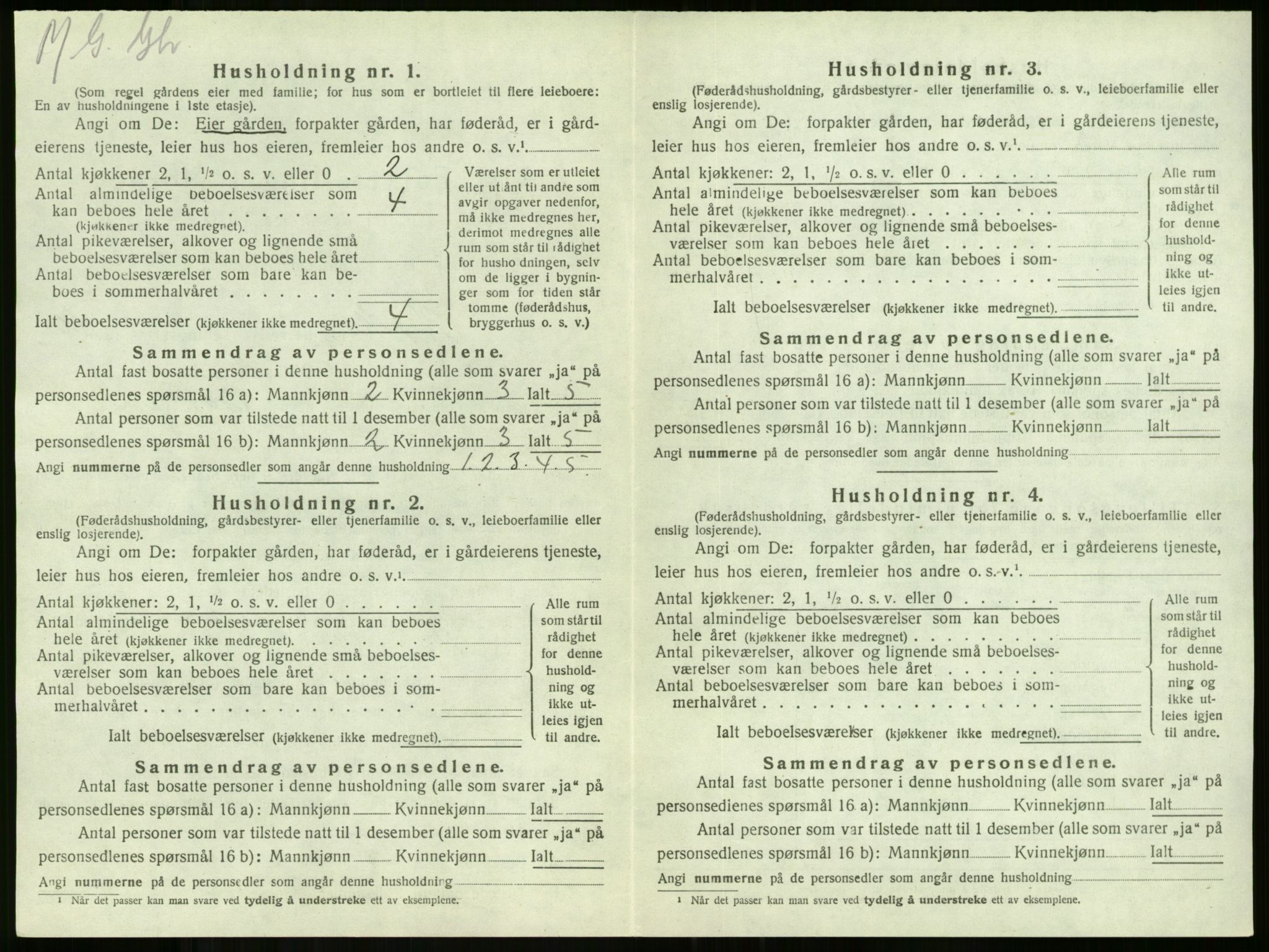 SAKO, 1920 census for Stokke, 1920, p. 1871