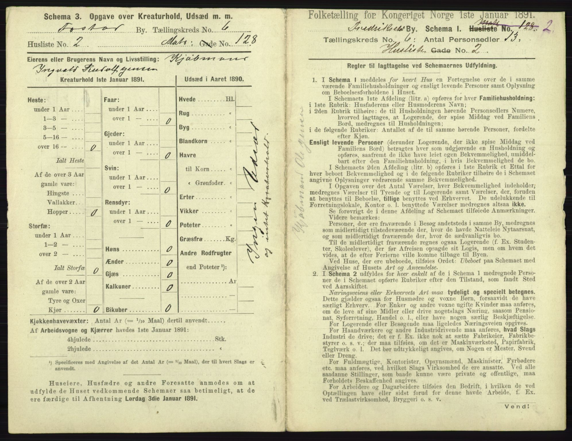 RA, 1891 census for 0103 Fredrikstad, 1891, p. 1118