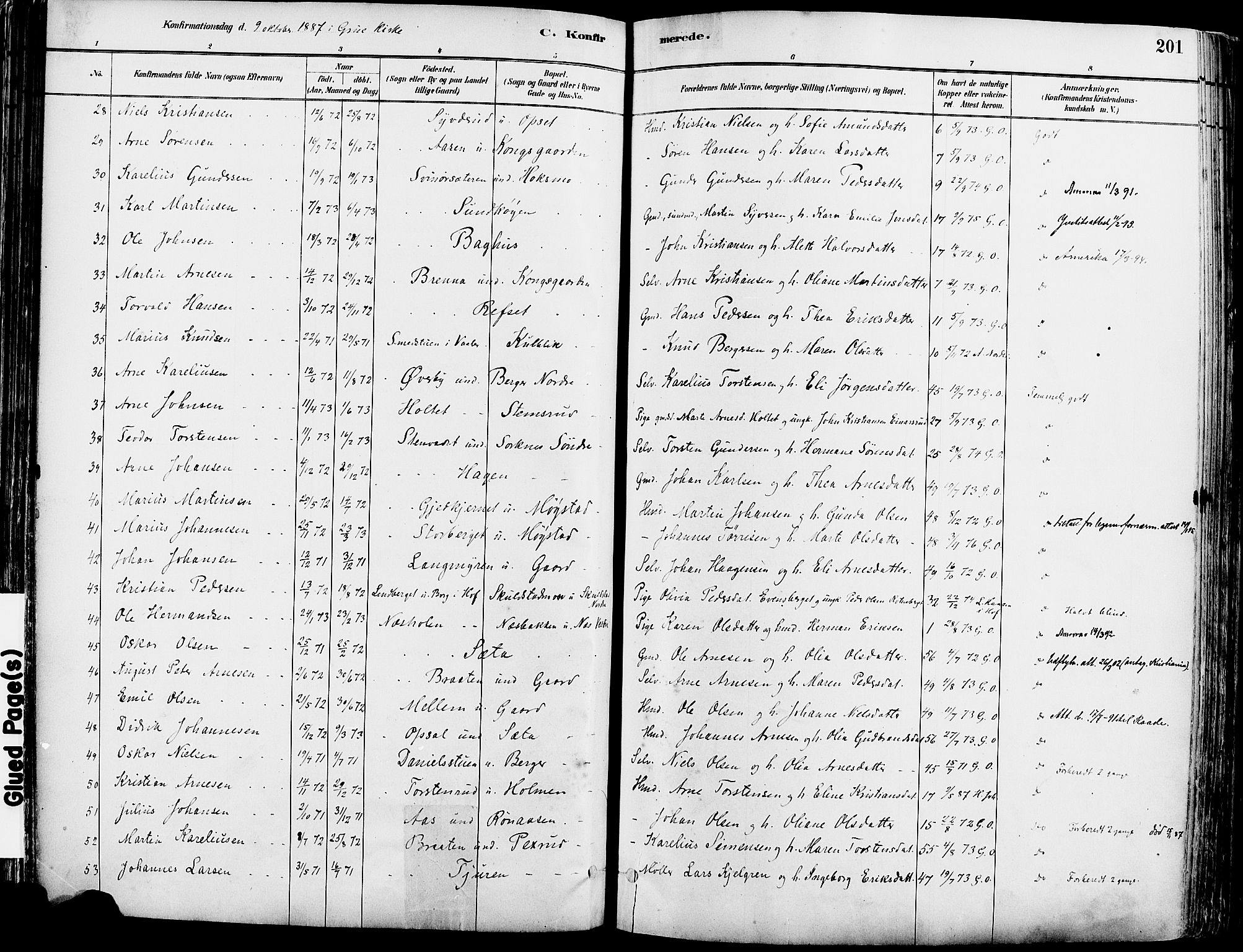 Grue prestekontor, AV/SAH-PREST-036/H/Ha/Haa/L0012: Parish register (official) no. 12, 1881-1897, p. 201