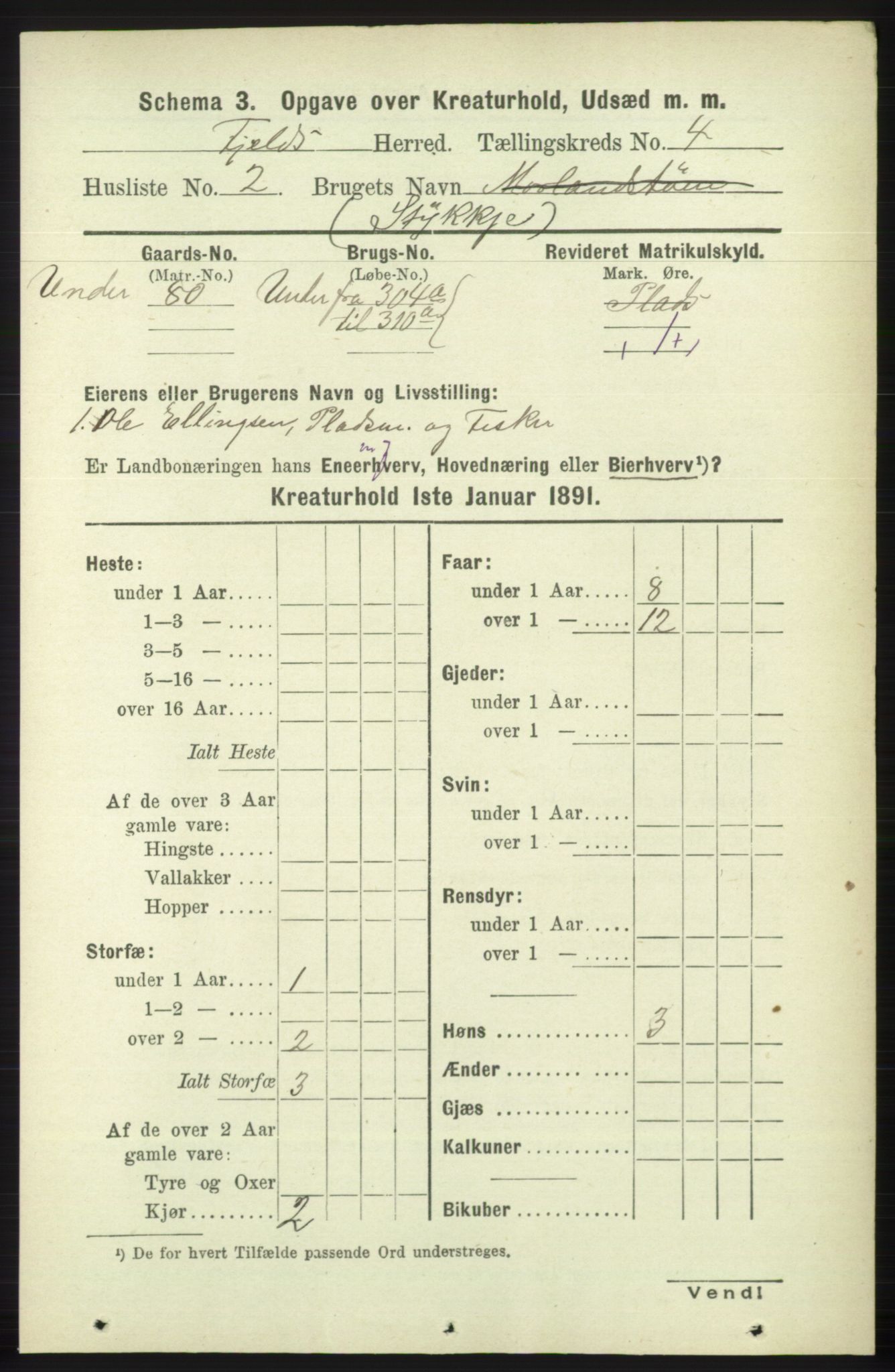 RA, 1891 census for 1246 Fjell, 1891, p. 4374