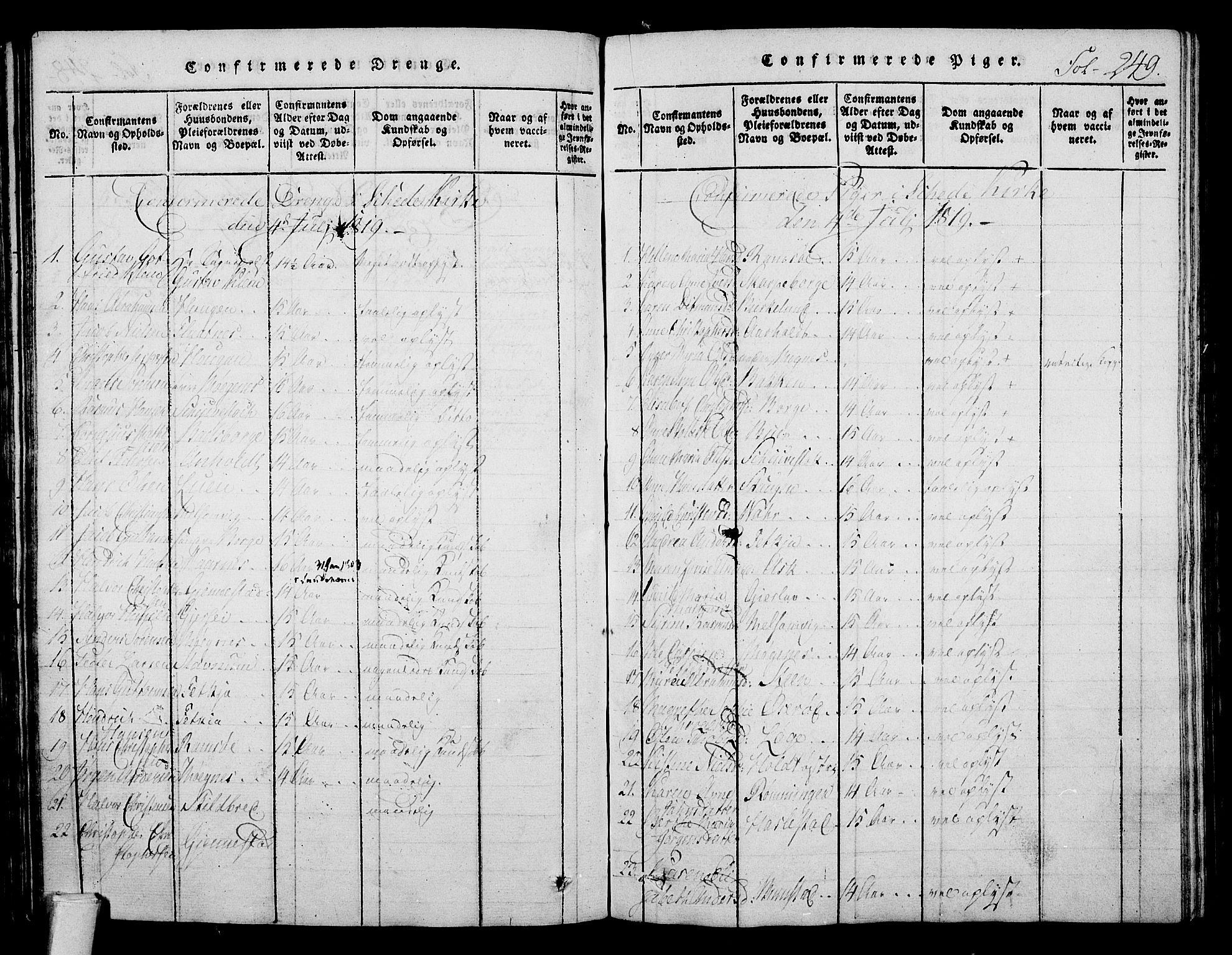 Stokke kirkebøker, AV/SAKO-A-320/F/Fa/L0005: Parish register (official) no. I 5, 1815-1826, p. 249