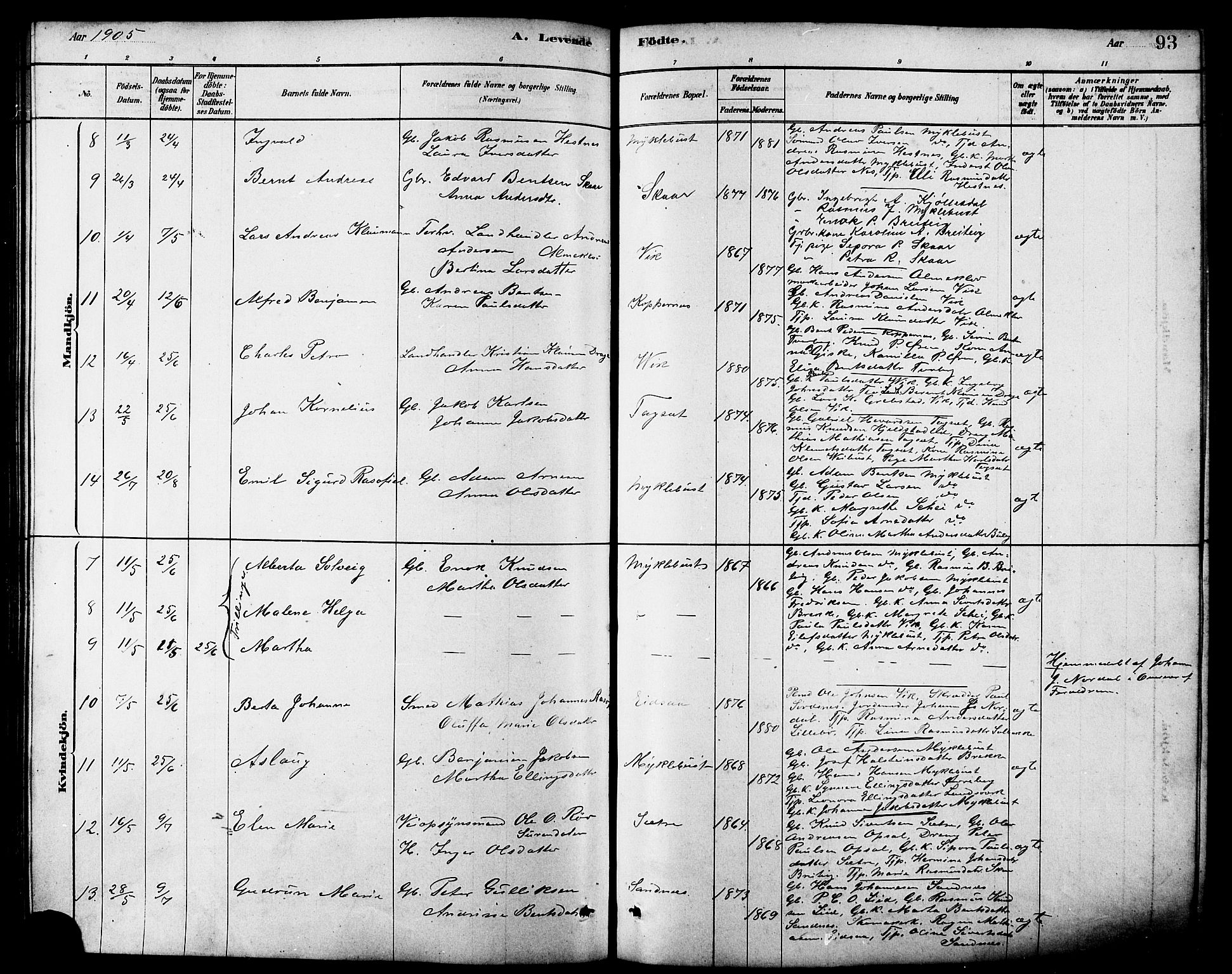 Ministerialprotokoller, klokkerbøker og fødselsregistre - Møre og Romsdal, AV/SAT-A-1454/502/L0027: Parish register (copy) no. 502C01, 1878-1908, p. 93