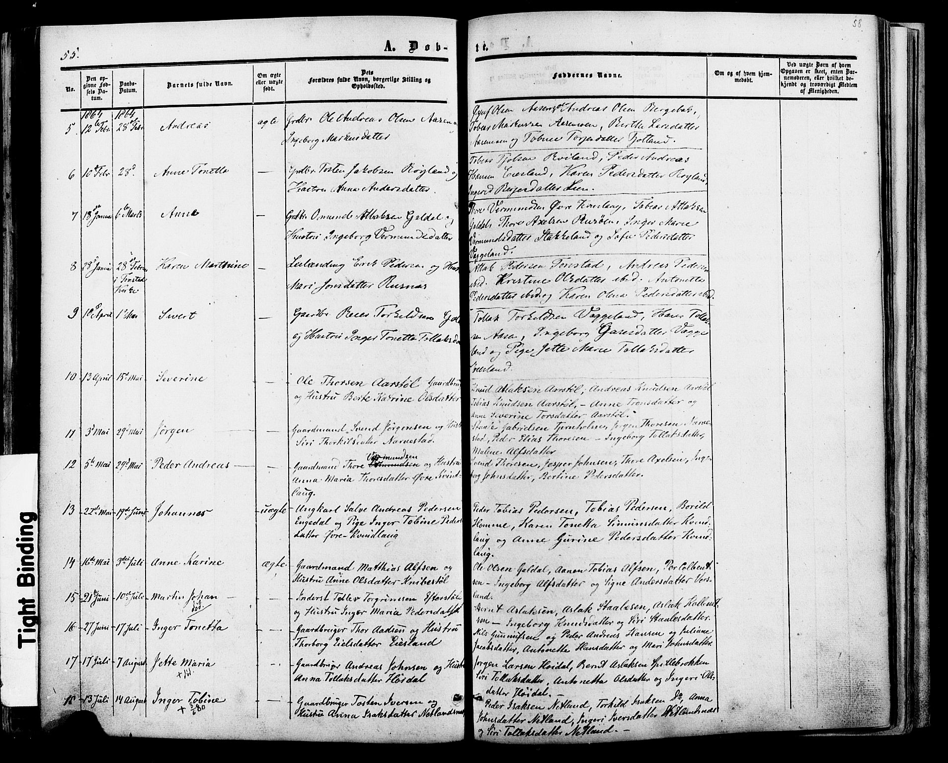 Fjotland sokneprestkontor, AV/SAK-1111-0010/F/Fa/L0001: Parish register (official) no. A 1, 1850-1879, p. 58