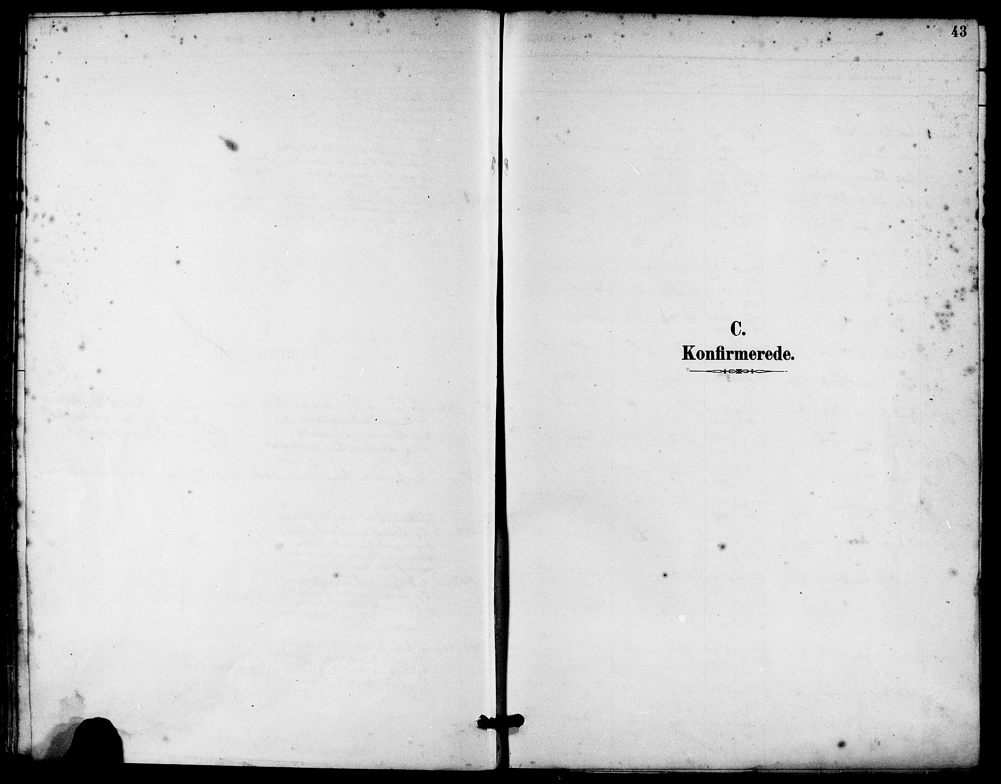 Håland sokneprestkontor, AV/SAST-A-101802/001/30BA/L0010: Parish register (official) no. A 9, 1883-1888, p. 43