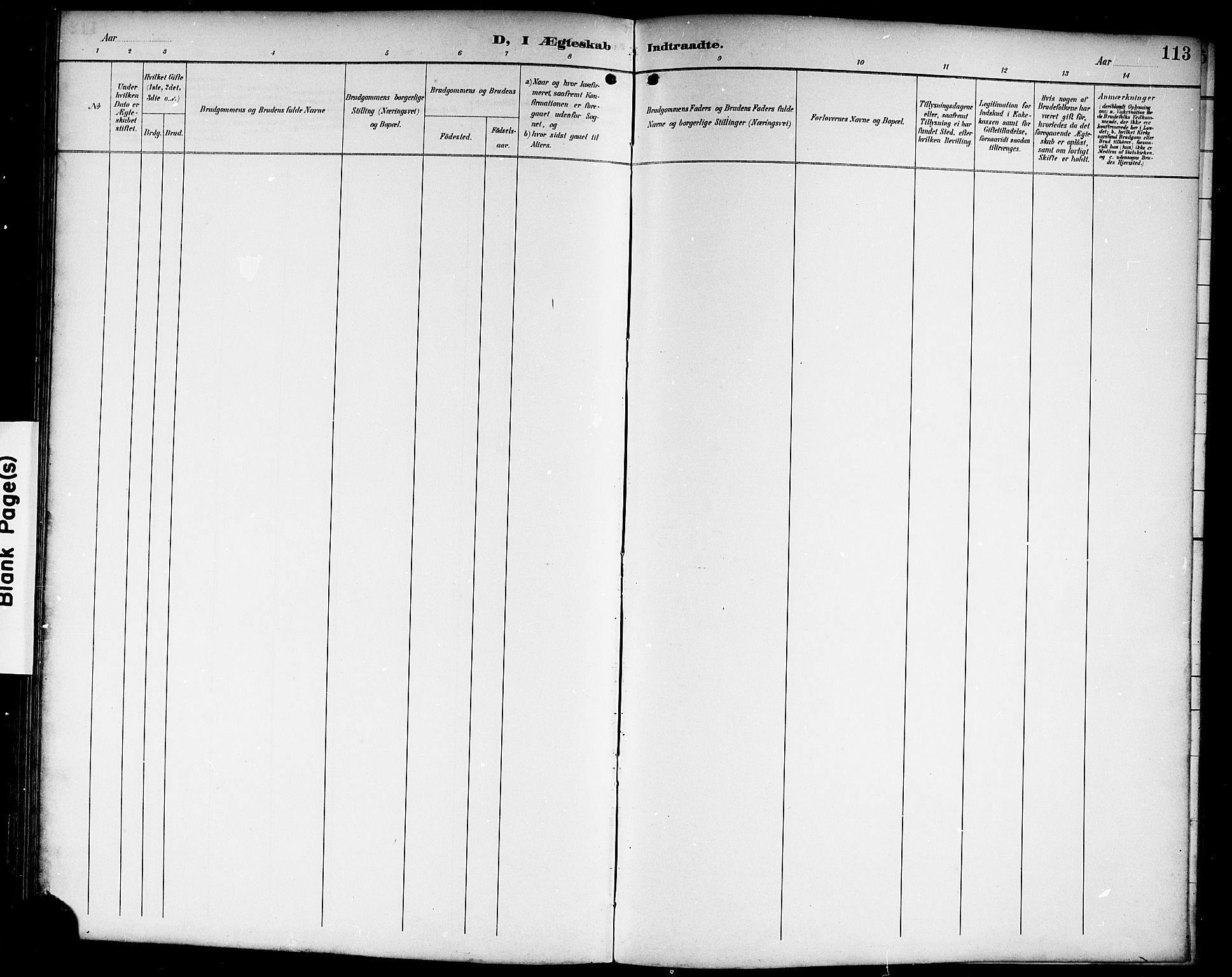 Lardal kirkebøker, AV/SAKO-A-350/G/Gc/L0002: Parish register (copy) no. III 2, 1894-1918, p. 113