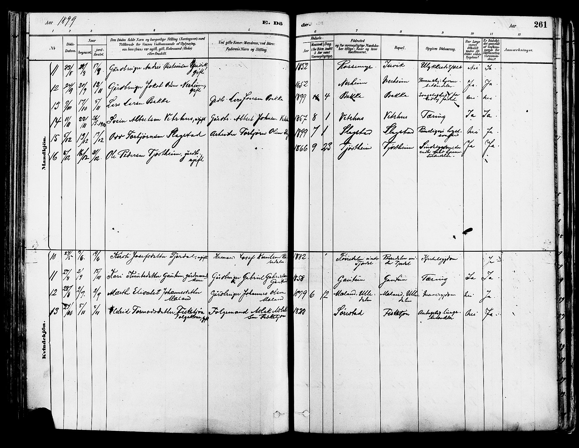 Suldal sokneprestkontor, AV/SAST-A-101845/01/IV/L0011: Parish register (official) no. A 11, 1878-1900, p. 261