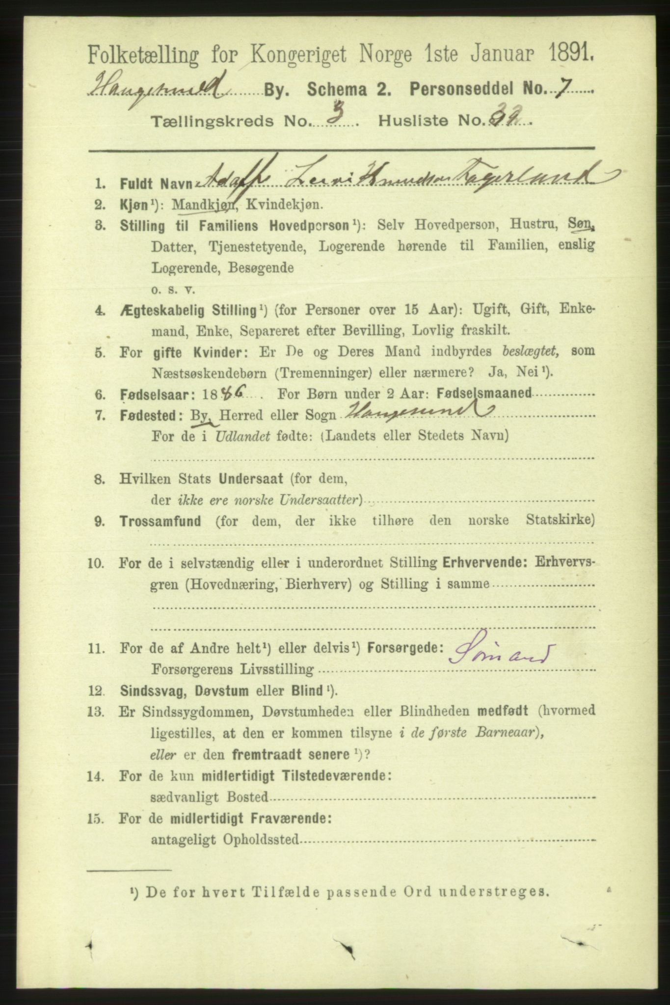 RA, 1891 census for 1106 Haugesund, 1891, p. 1148