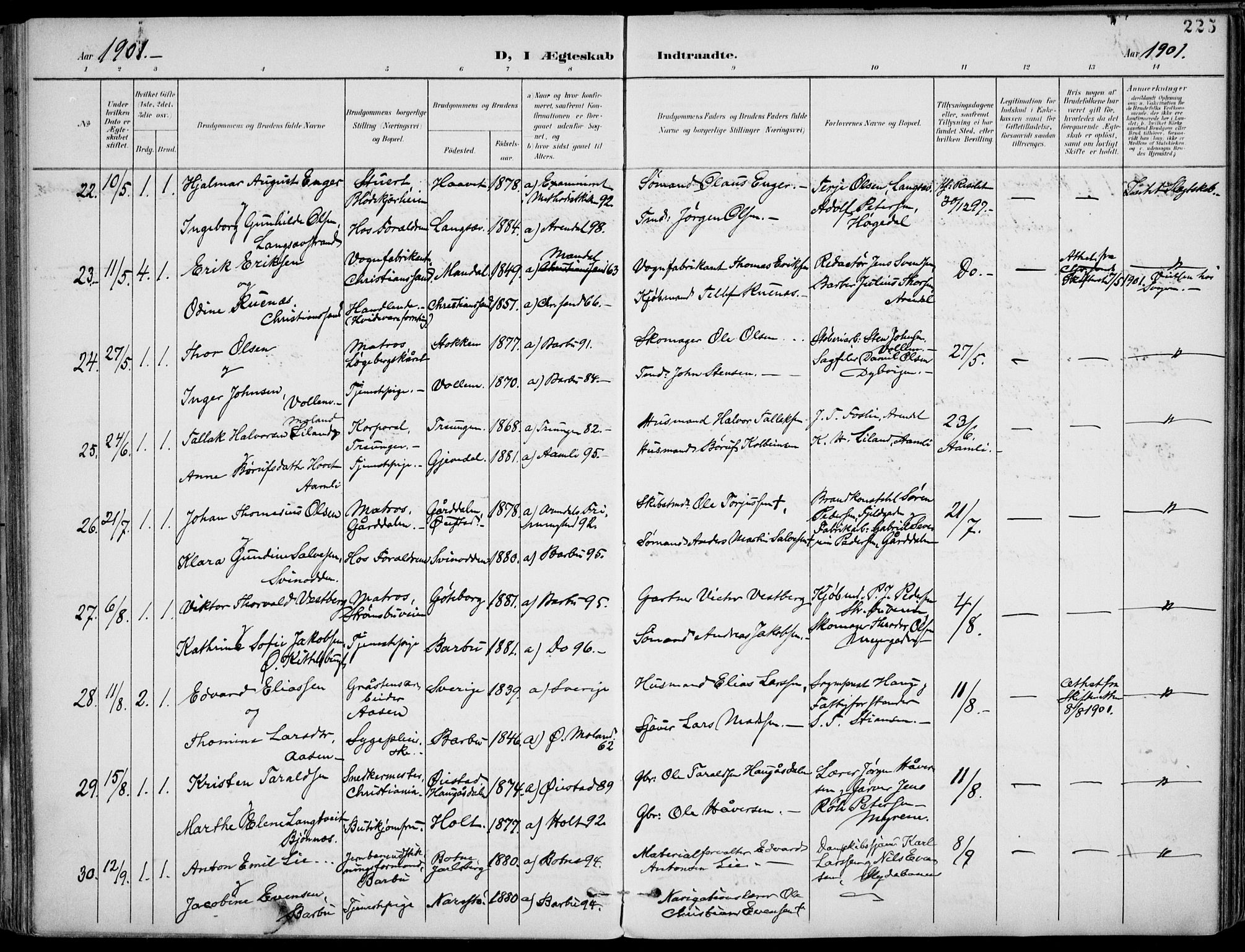 Barbu sokneprestkontor, AV/SAK-1111-0003/F/Fa/L0005: Parish register (official) no. A 5, 1899-1909, p. 225