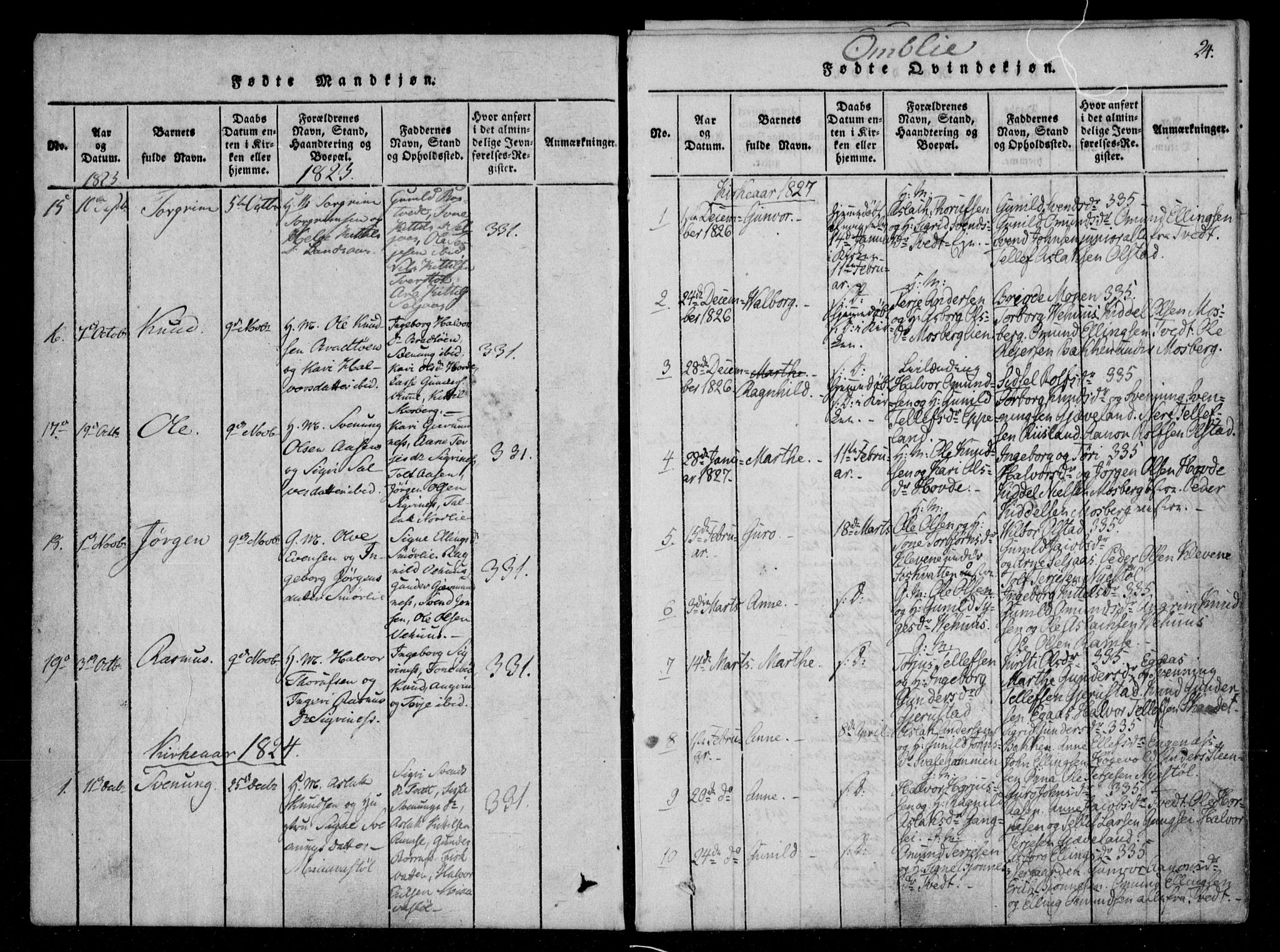 Åmli sokneprestkontor, SAK/1111-0050/F/Fa/Fac/L0006: Parish register (official) no. A 6, 1816-1829, p. 24