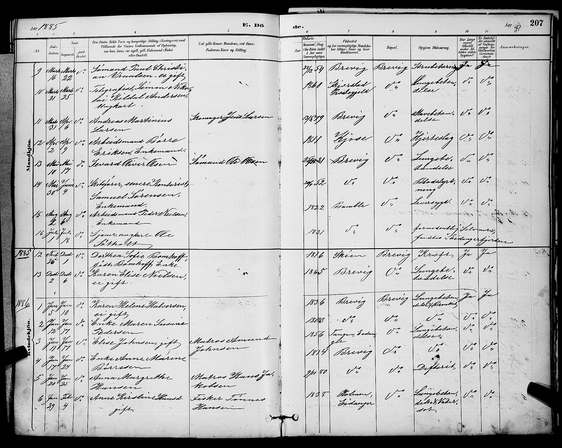 Brevik kirkebøker, AV/SAKO-A-255/G/Ga/L0004: Parish register (copy) no. 4, 1882-1900, p. 207