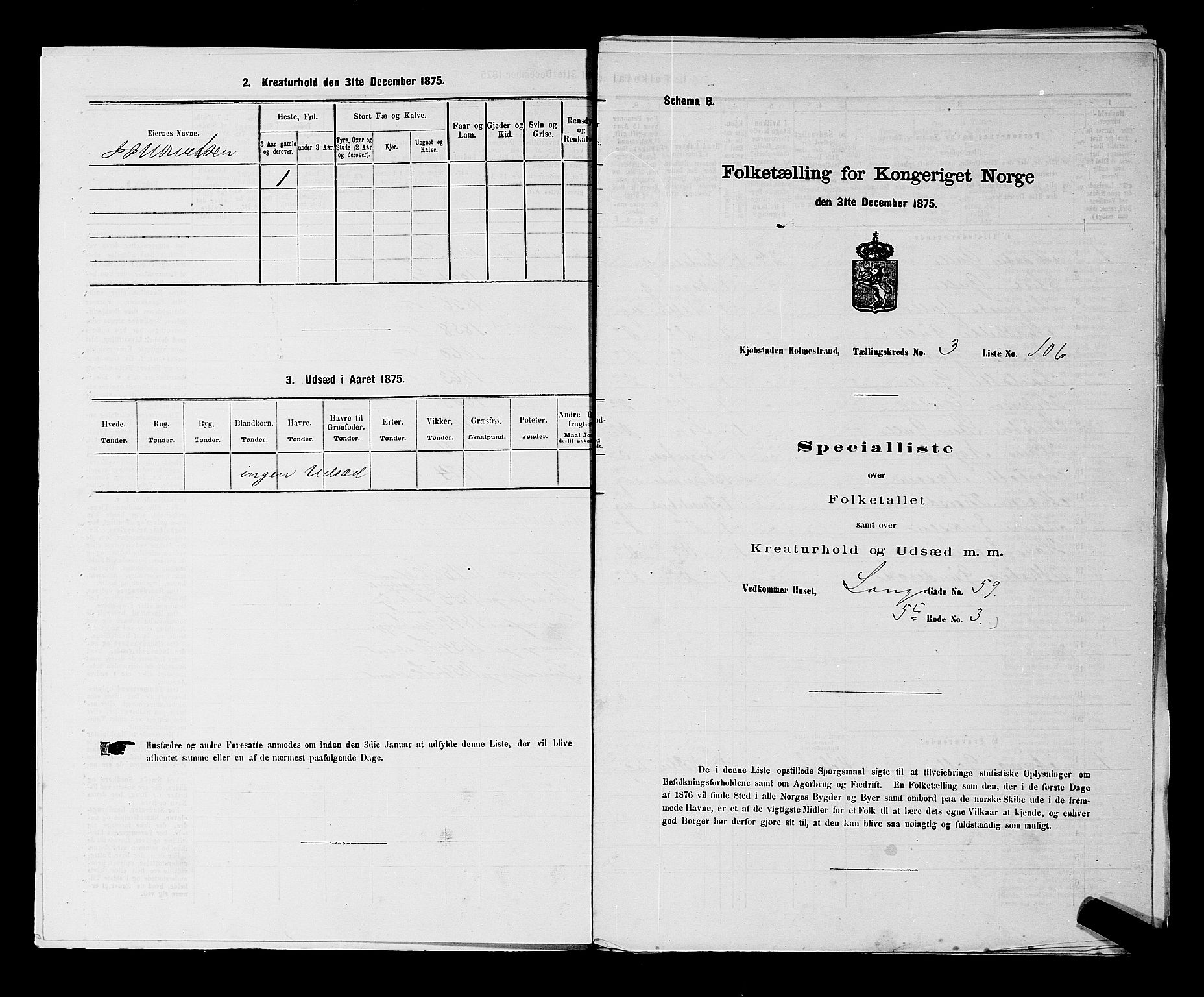 SAKO, 1875 census for 0702P Holmestrand, 1875, p. 247