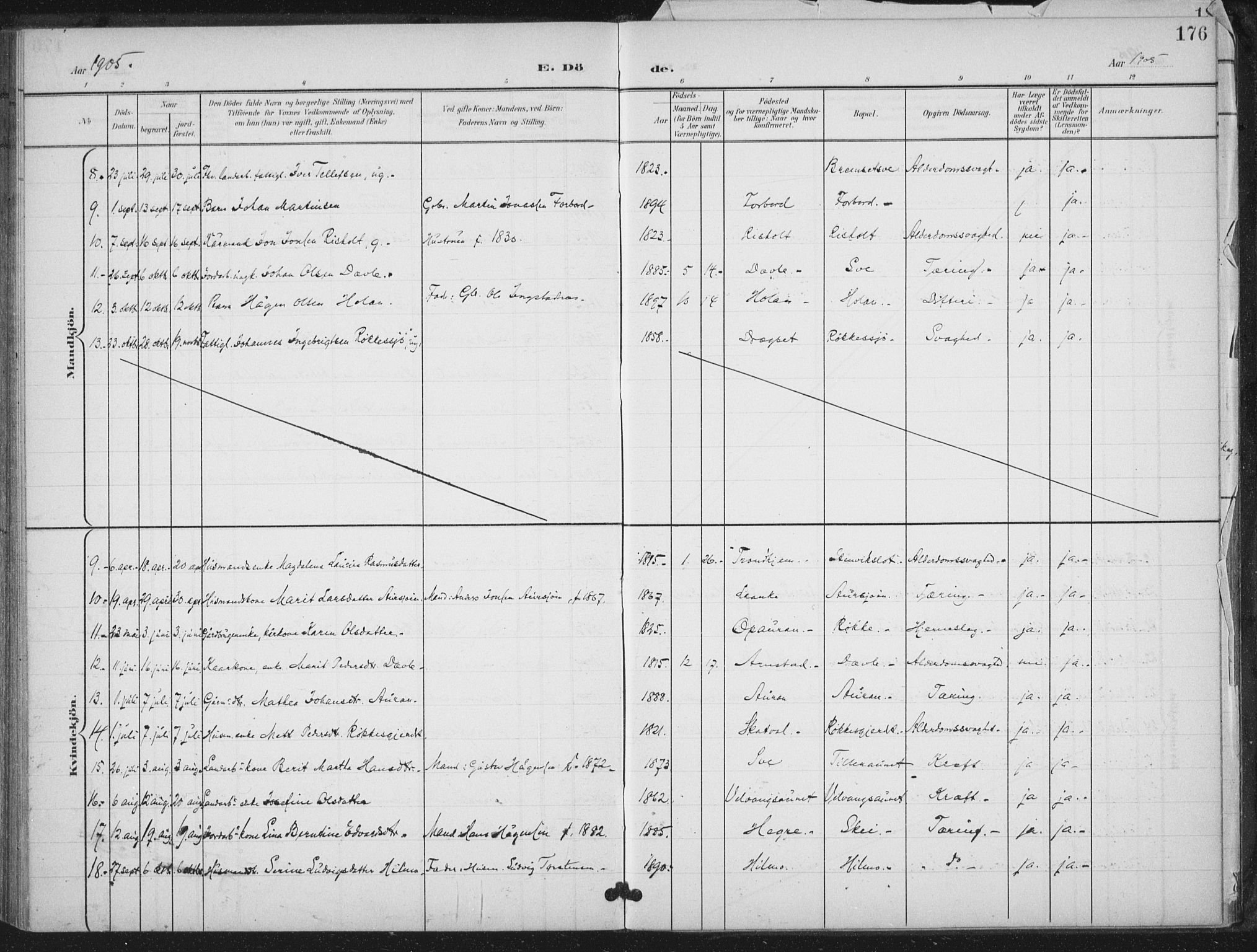 Ministerialprotokoller, klokkerbøker og fødselsregistre - Nord-Trøndelag, SAT/A-1458/712/L0101: Parish register (official) no. 712A02, 1901-1916, p. 176
