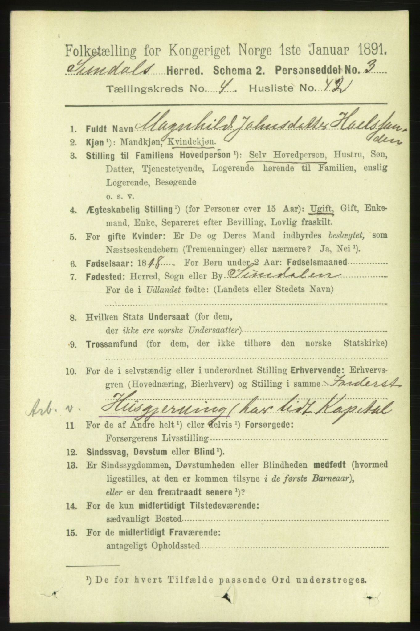 RA, 1891 census for 1563 Sunndal, 1891, p. 1191