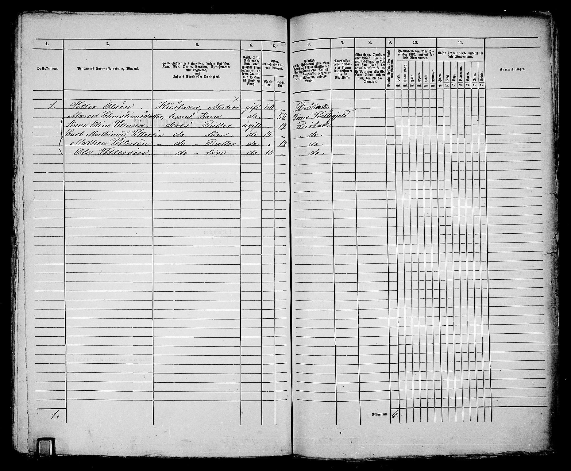 RA, 1865 census for Drøbak/Drøbak, 1865, p. 406