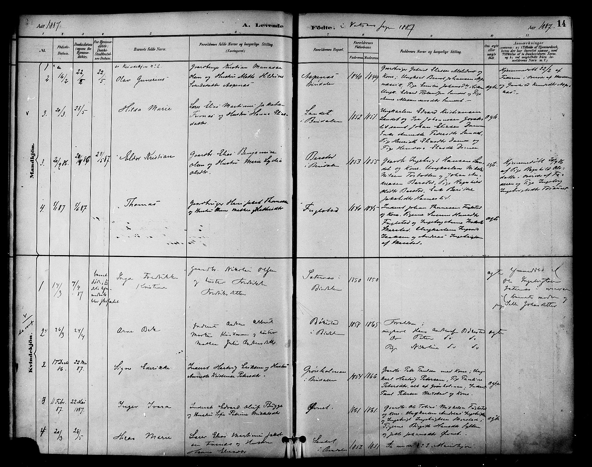 Ministerialprotokoller, klokkerbøker og fødselsregistre - Nordland, AV/SAT-A-1459/810/L0150: Parish register (official) no. 810A10 /1, 1884-1895, p. 14