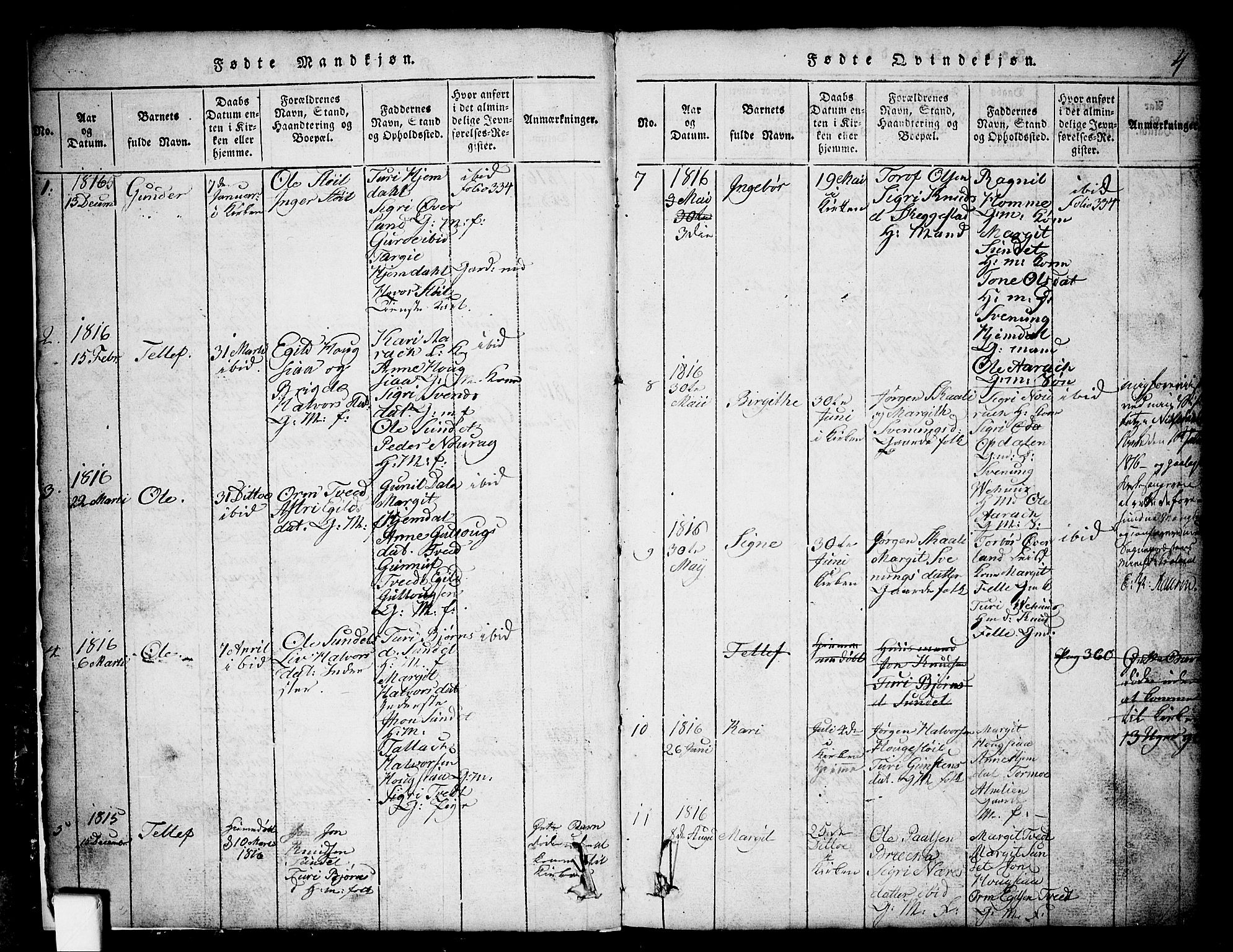 Nissedal kirkebøker, SAKO/A-288/G/Gb/L0001: Parish register (copy) no. II 1, 1814-1862, p. 4