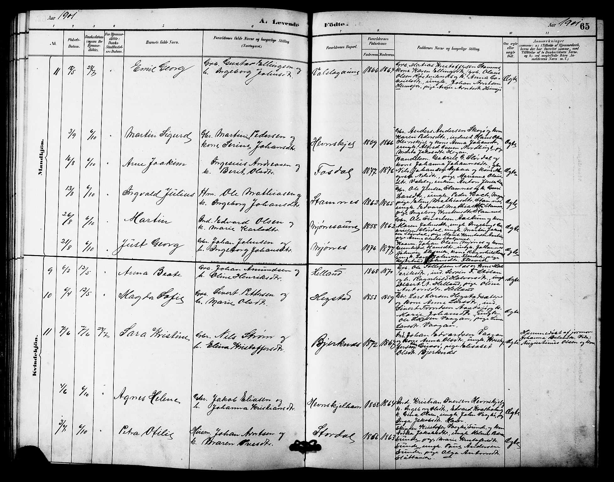 Ministerialprotokoller, klokkerbøker og fødselsregistre - Sør-Trøndelag, SAT/A-1456/633/L0519: Parish register (copy) no. 633C01, 1884-1905, p. 65