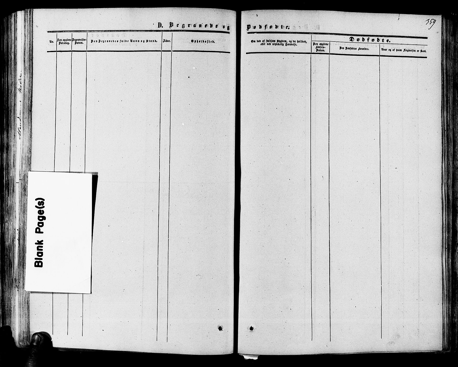 Hol kirkebøker, SAKO/A-227/F/Fa/L0002: Parish register (official) no. I 2, 1870-1886, p. 359