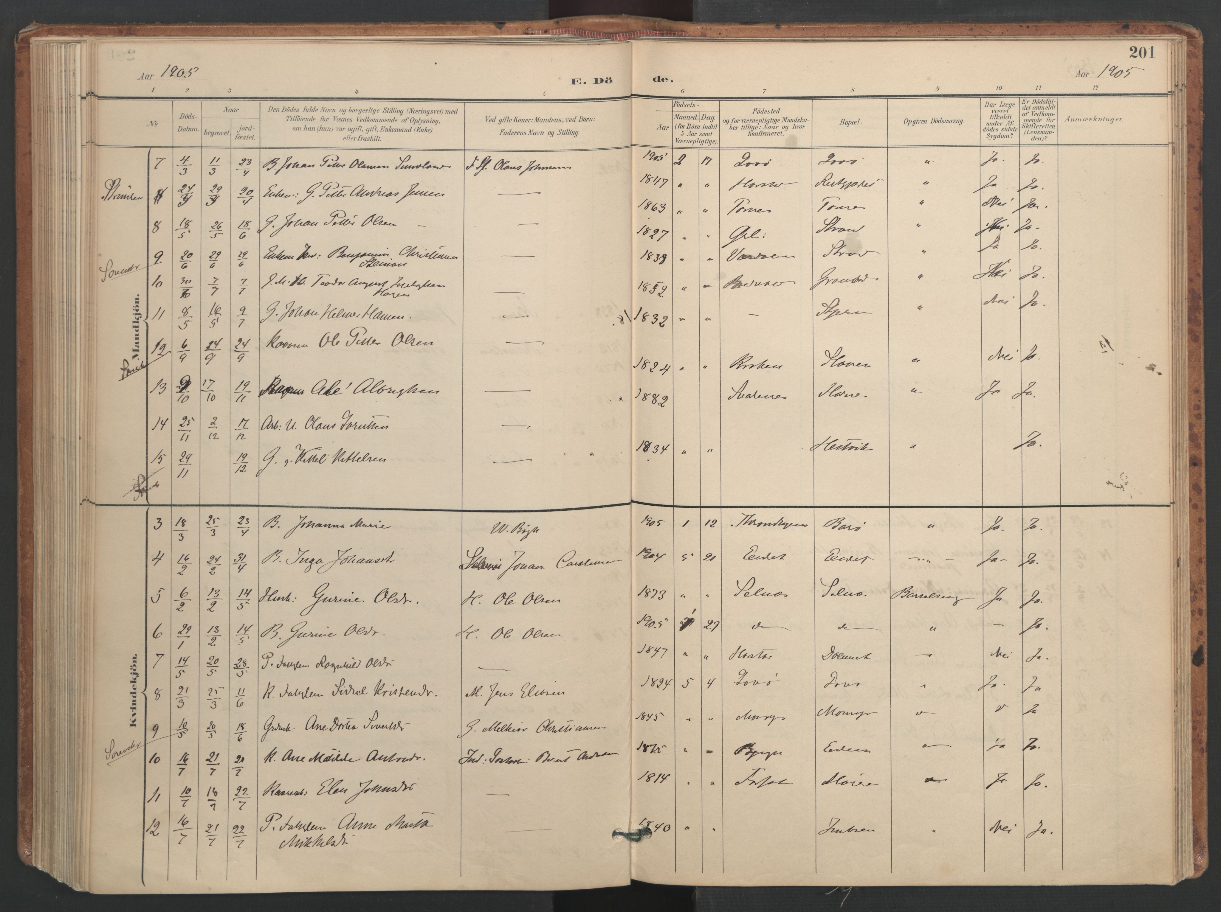 Ministerialprotokoller, klokkerbøker og fødselsregistre - Sør-Trøndelag, AV/SAT-A-1456/655/L0681: Parish register (official) no. 655A10, 1895-1907, p. 201