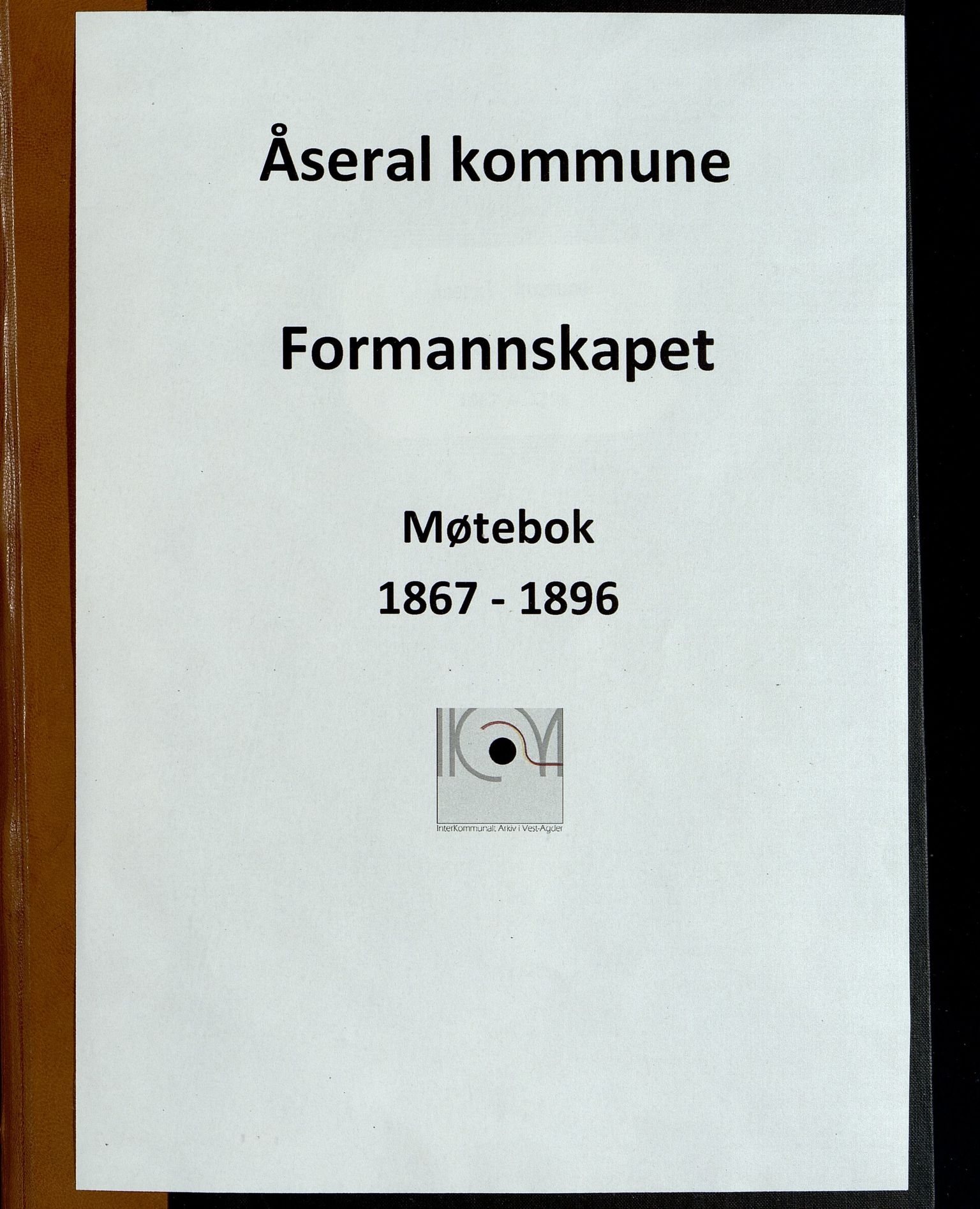 Åseral kommune - Formannskapet, IKAV/1026ÅS120/A/L0001: Møtebok (d), 1867-1896
