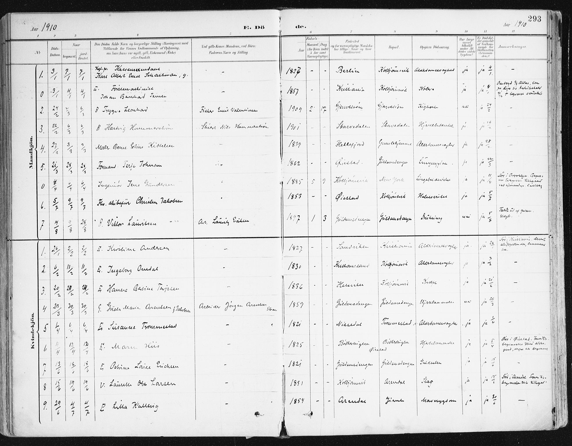 Hisøy sokneprestkontor, AV/SAK-1111-0020/F/Fa/L0004: Parish register (official) no. A 4, 1895-1917, p. 293