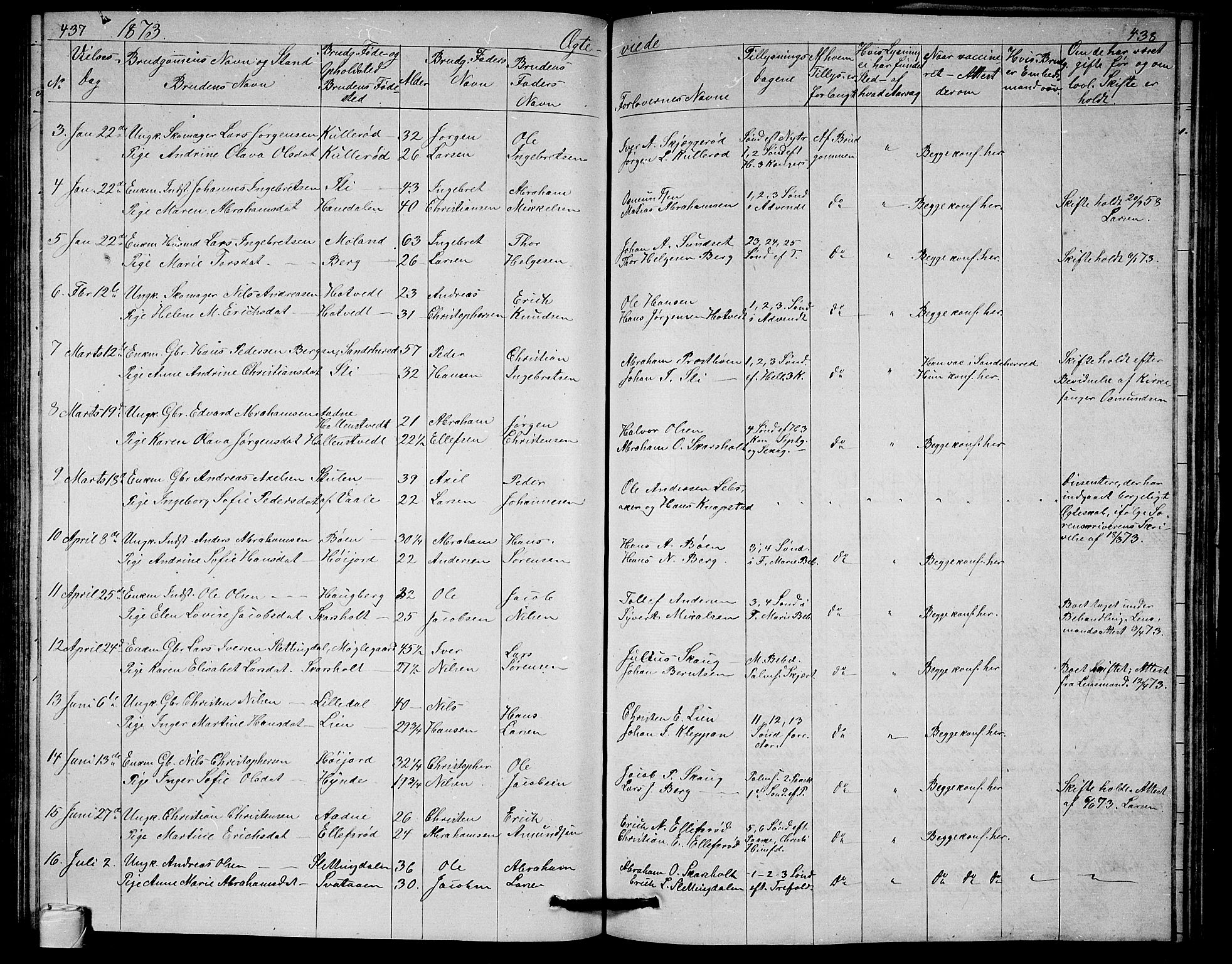 Andebu kirkebøker, AV/SAKO-A-336/G/Ga/L0004: Parish register (copy) no. I 4, 1868-1882, p. 437-438