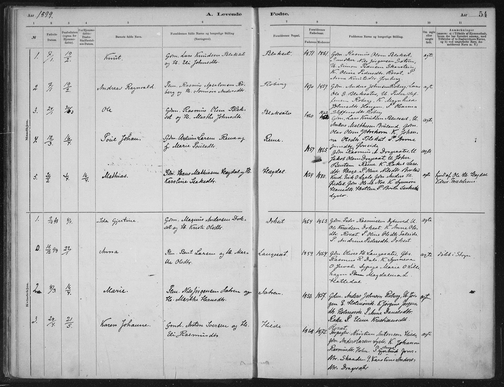 Innvik sokneprestembete, SAB/A-80501: Parish register (official) no. B  1, 1879-1902, p. 54