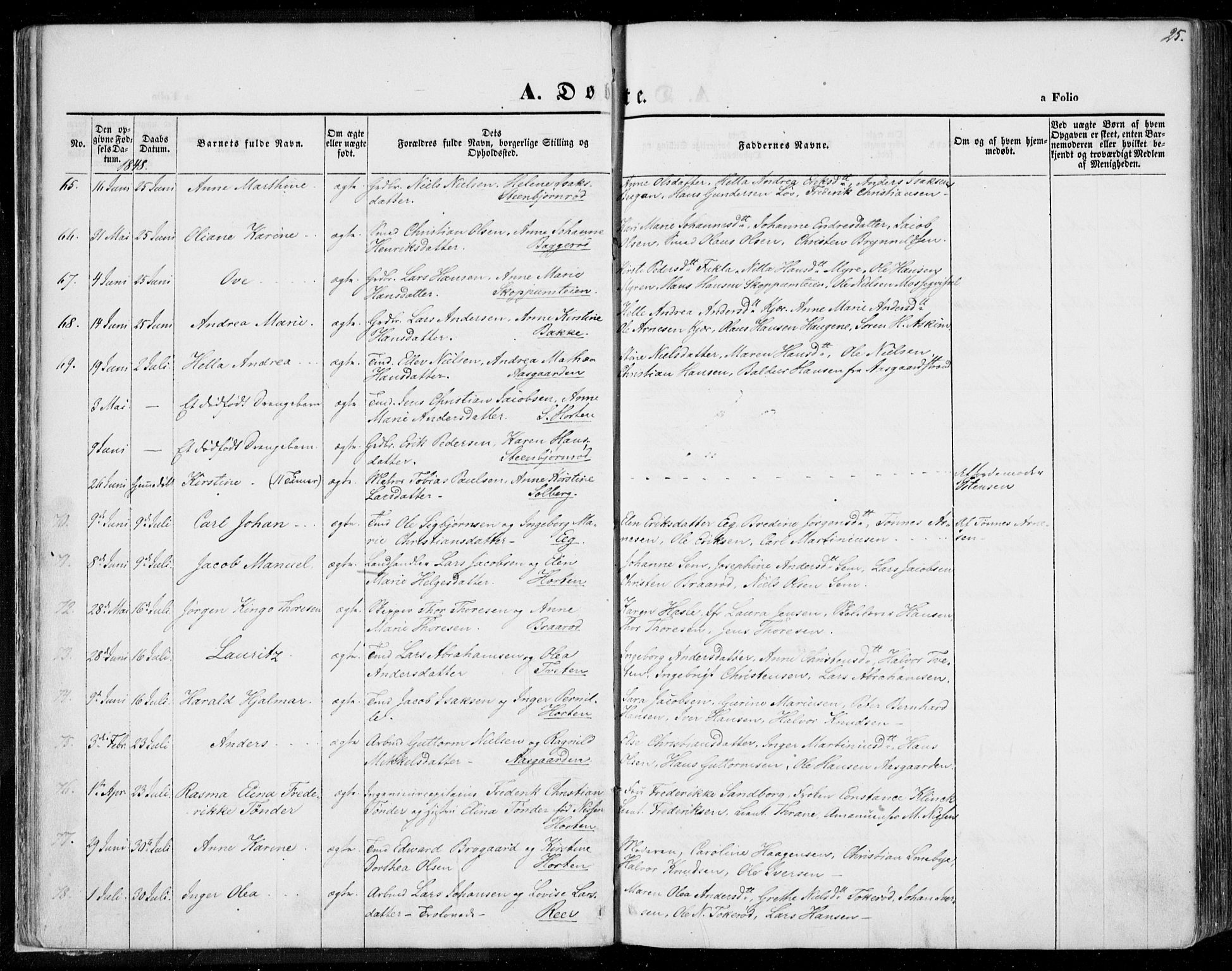 Borre kirkebøker, AV/SAKO-A-338/F/Fa/L0005: Parish register (official) no. I 5, 1845-1851, p. 25