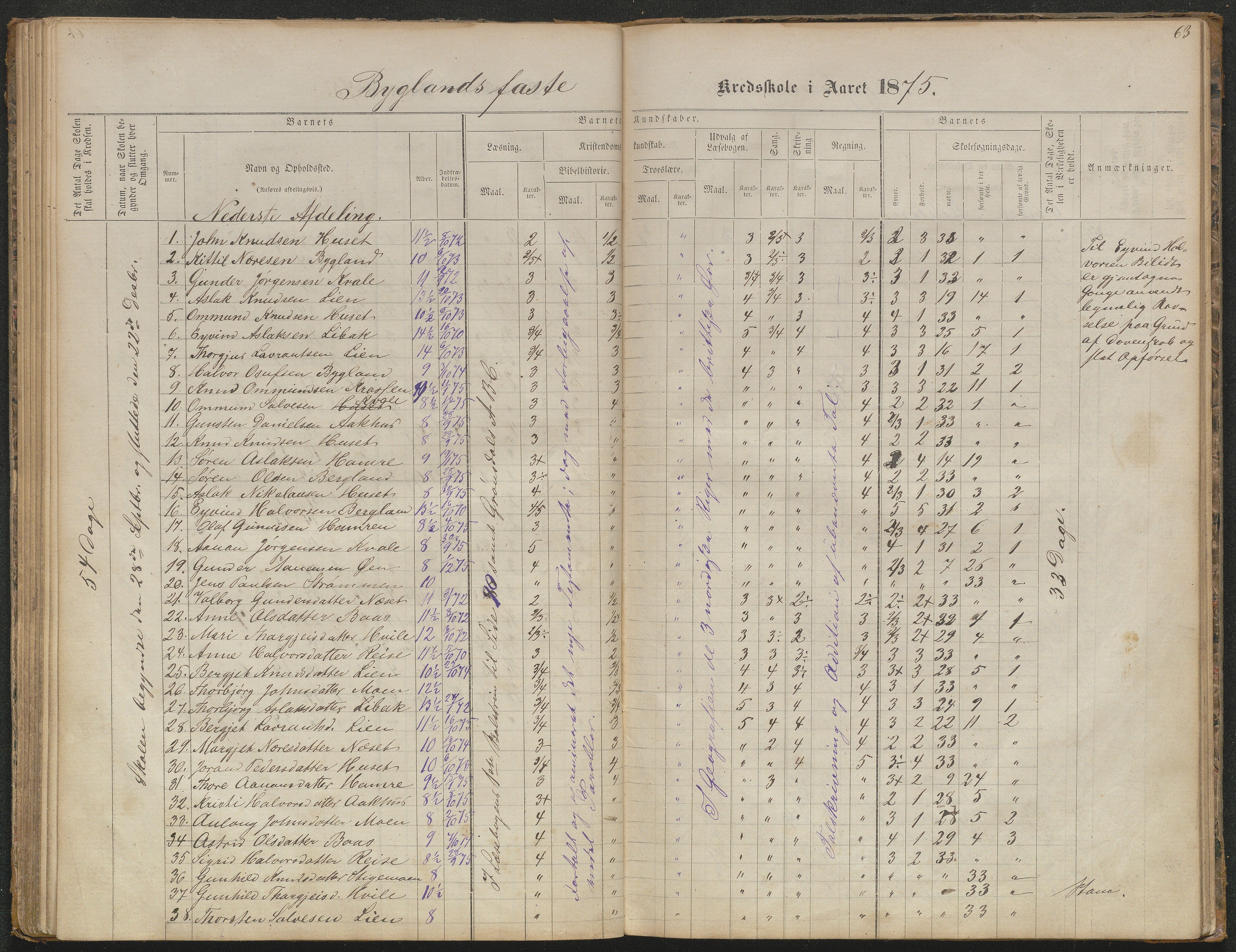 Bygland kommune, Skulekrinsar i Midt-Bygland, AAKS/KA0938-550b/F5/L0001: Skuleprotokoll Bygland, 1863-1882, p. 63