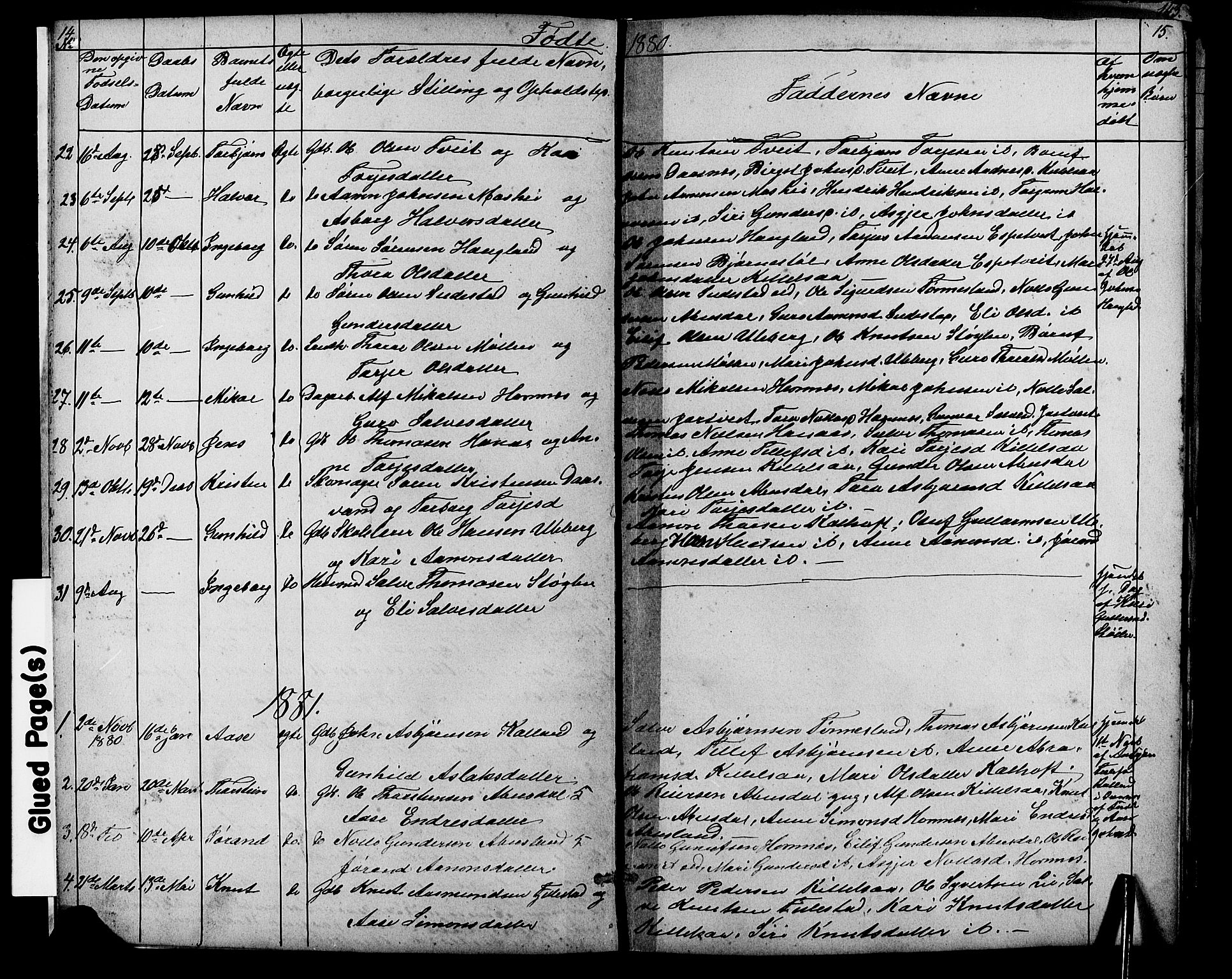 Evje sokneprestkontor, SAK/1111-0008/F/Fb/Fbb/L0002: Parish register (copy) no. B 2, 1879-1909, p. 14-15
