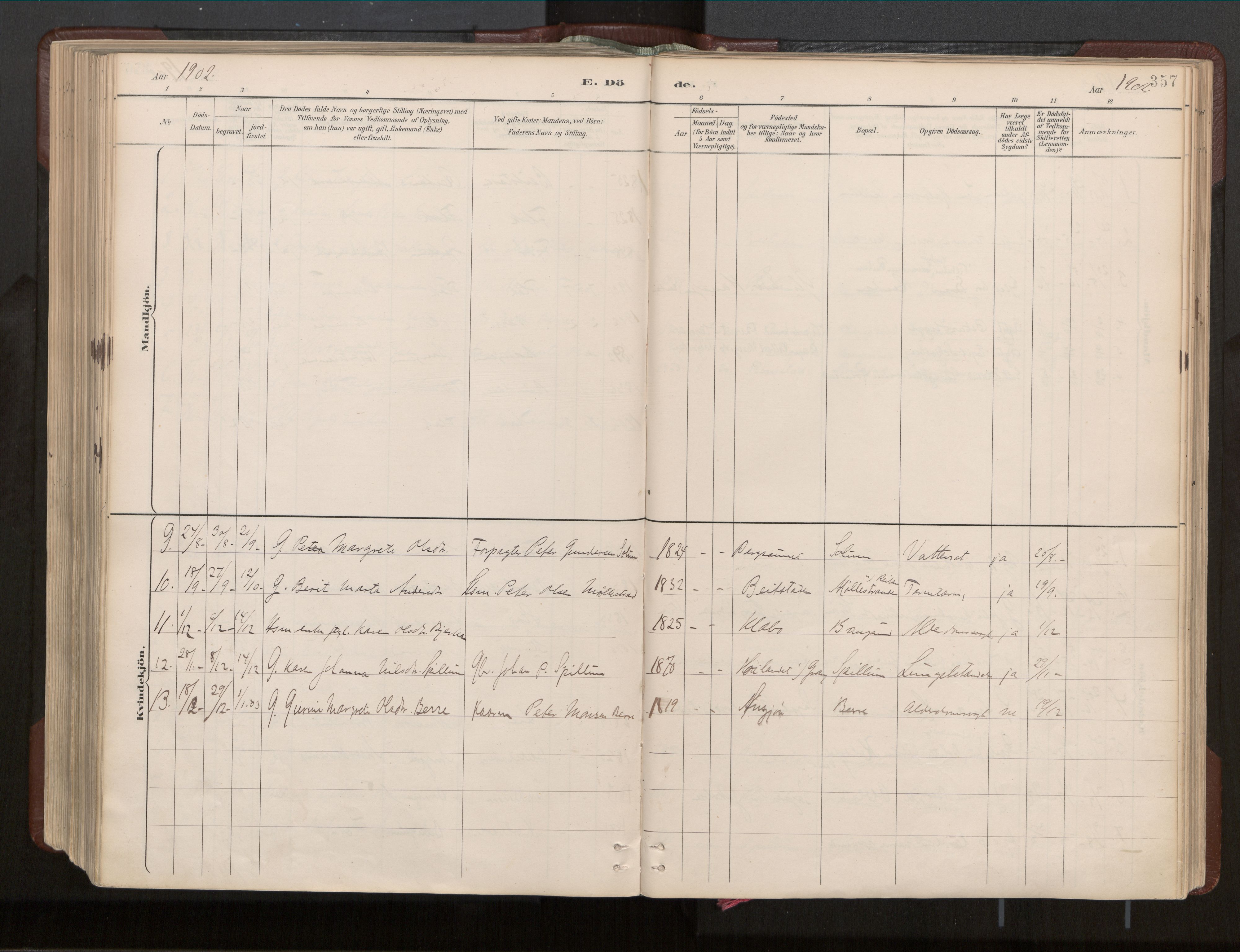 Ministerialprotokoller, klokkerbøker og fødselsregistre - Nord-Trøndelag, SAT/A-1458/770/L0589: Parish register (official) no. 770A03, 1887-1929, p. 357