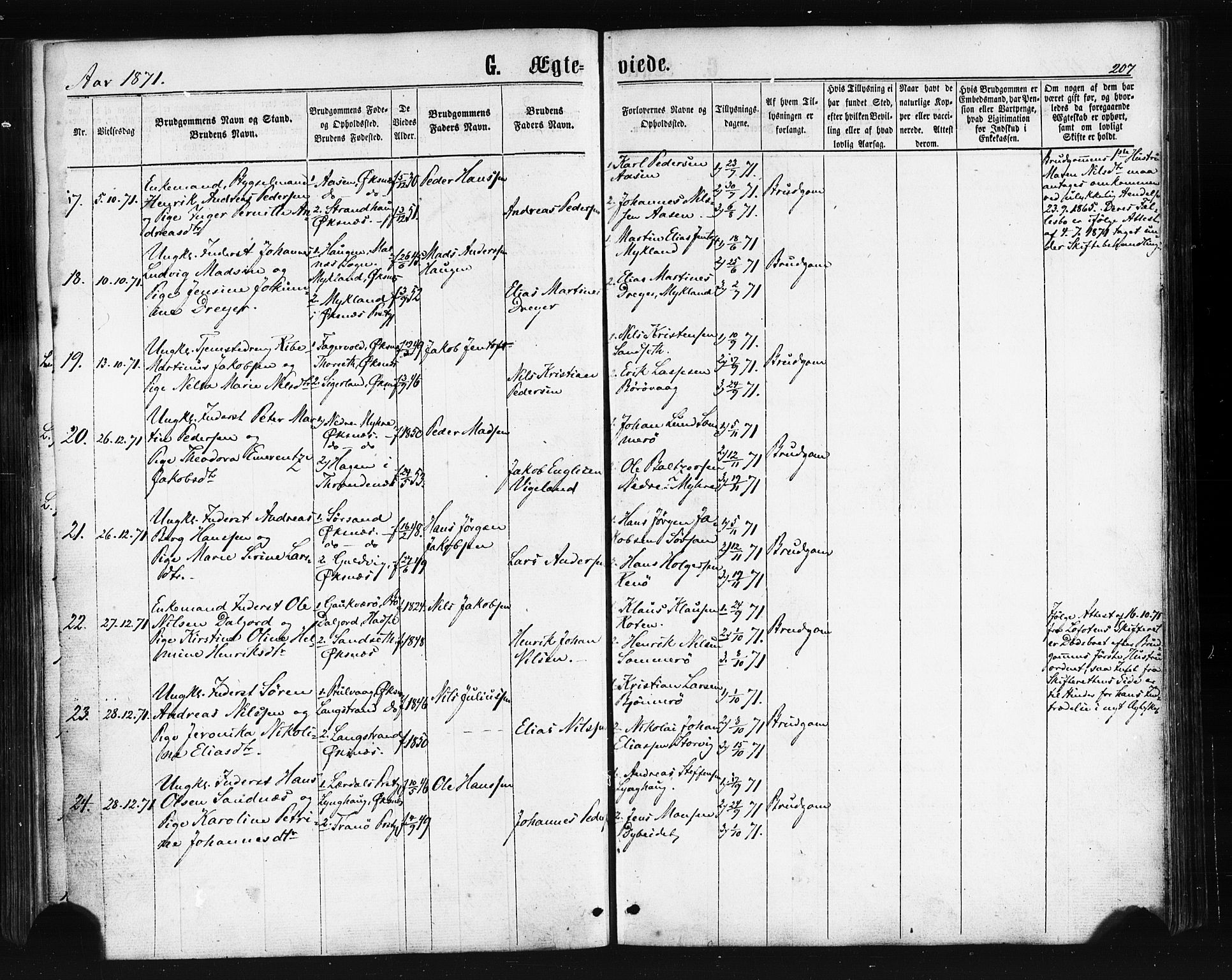 Ministerialprotokoller, klokkerbøker og fødselsregistre - Nordland, AV/SAT-A-1459/893/L1334: Parish register (official) no. 893A07, 1867-1877, p. 207