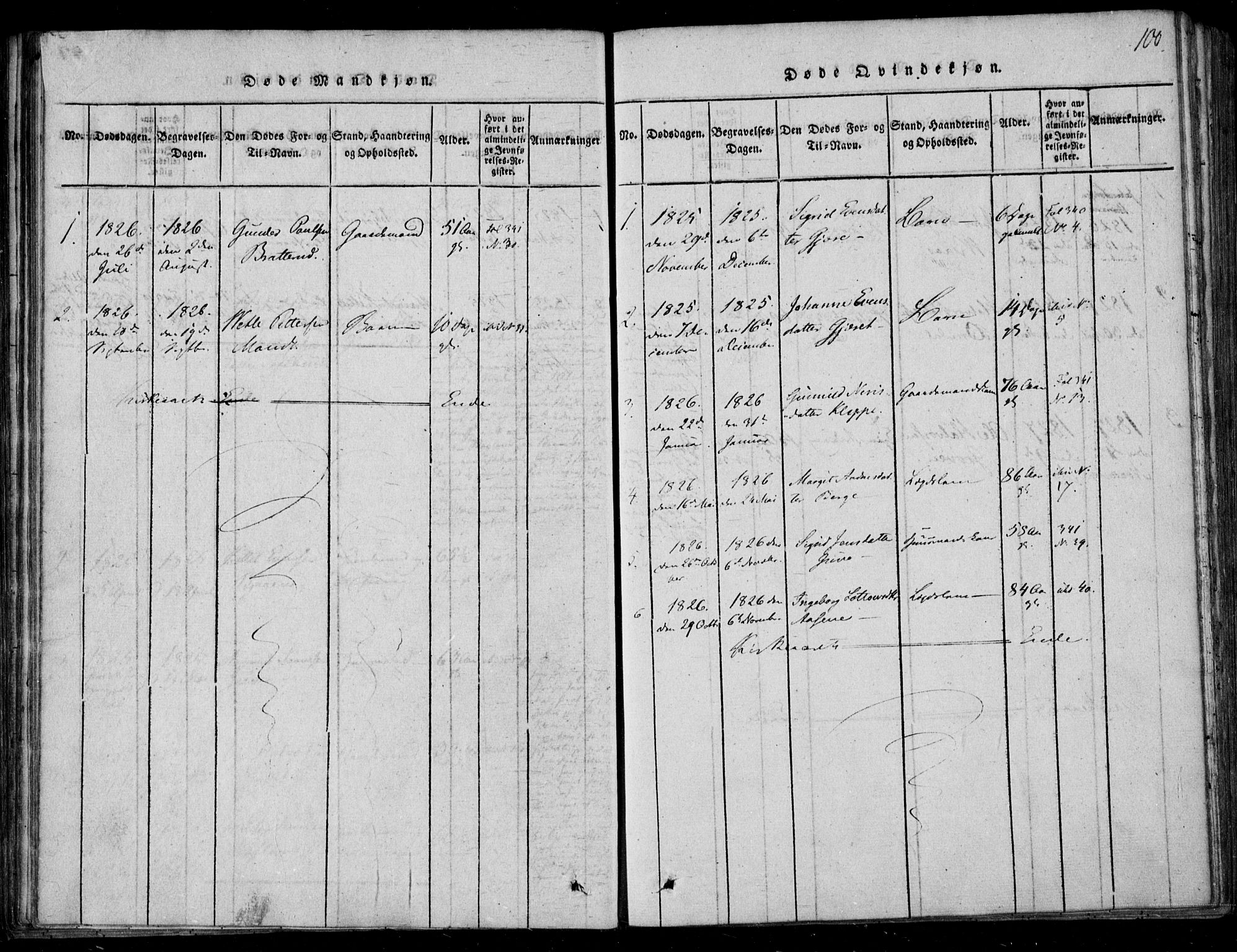 Lårdal kirkebøker, SAKO/A-284/F/Fb/L0001: Parish register (official) no. II 1, 1815-1860, p. 100