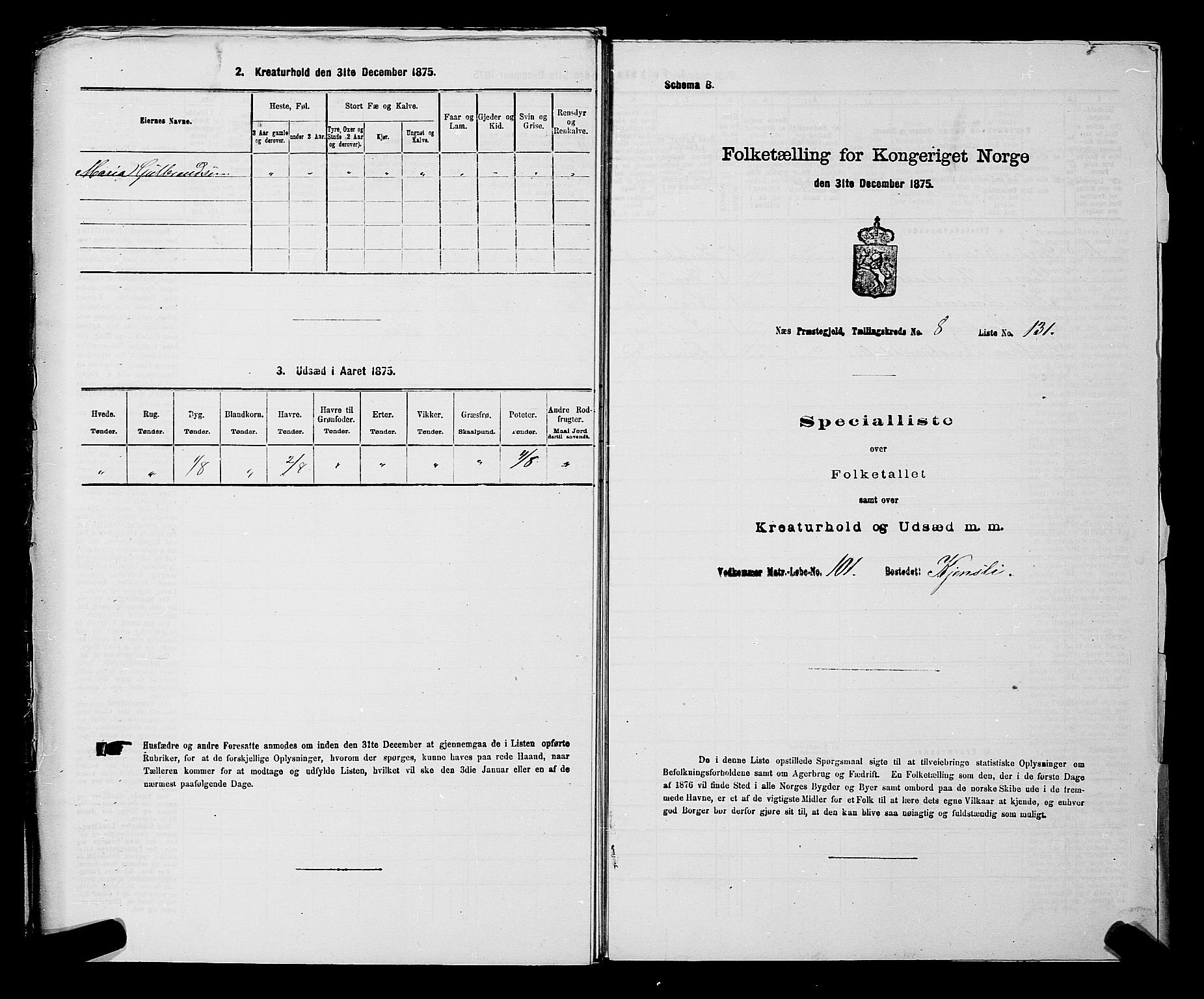 RA, 1875 census for 0236P Nes, 1875, p. 1493