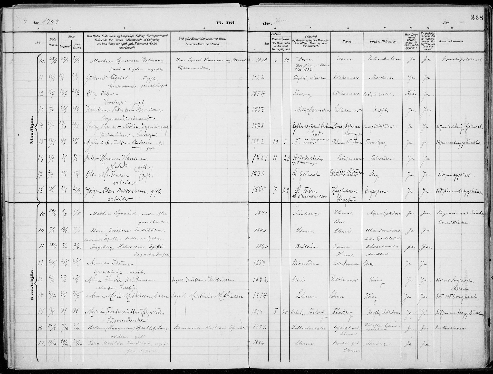 Lillehammer prestekontor, SAH/PREST-088/H/Ha/Haa/L0001: Parish register (official) no. 1, 1901-1916, p. 338