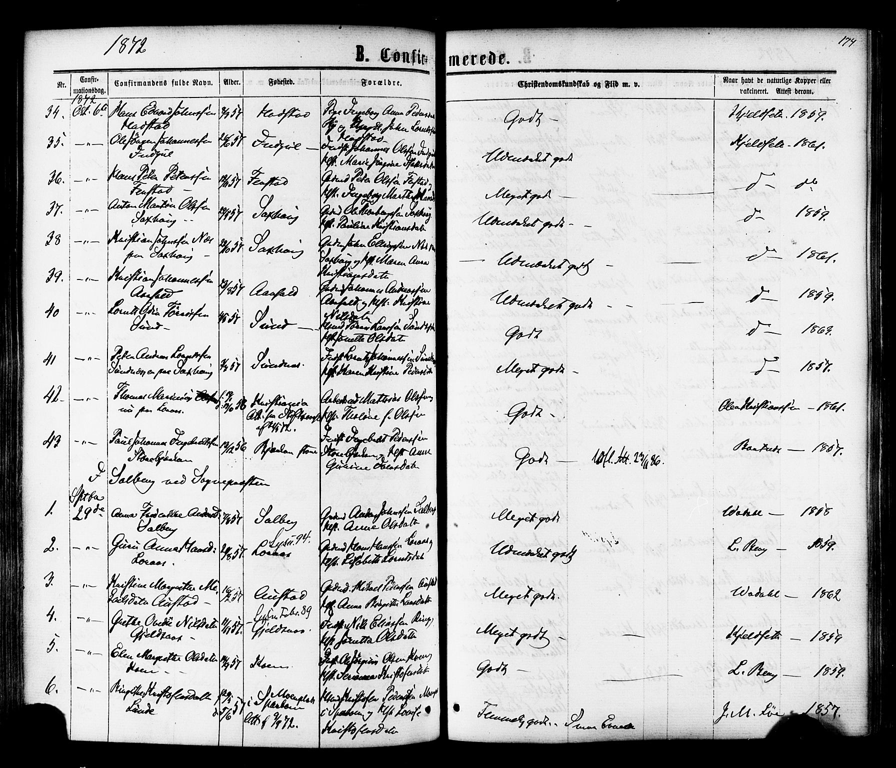 Ministerialprotokoller, klokkerbøker og fødselsregistre - Nord-Trøndelag, AV/SAT-A-1458/730/L0284: Parish register (official) no. 730A09, 1866-1878, p. 174