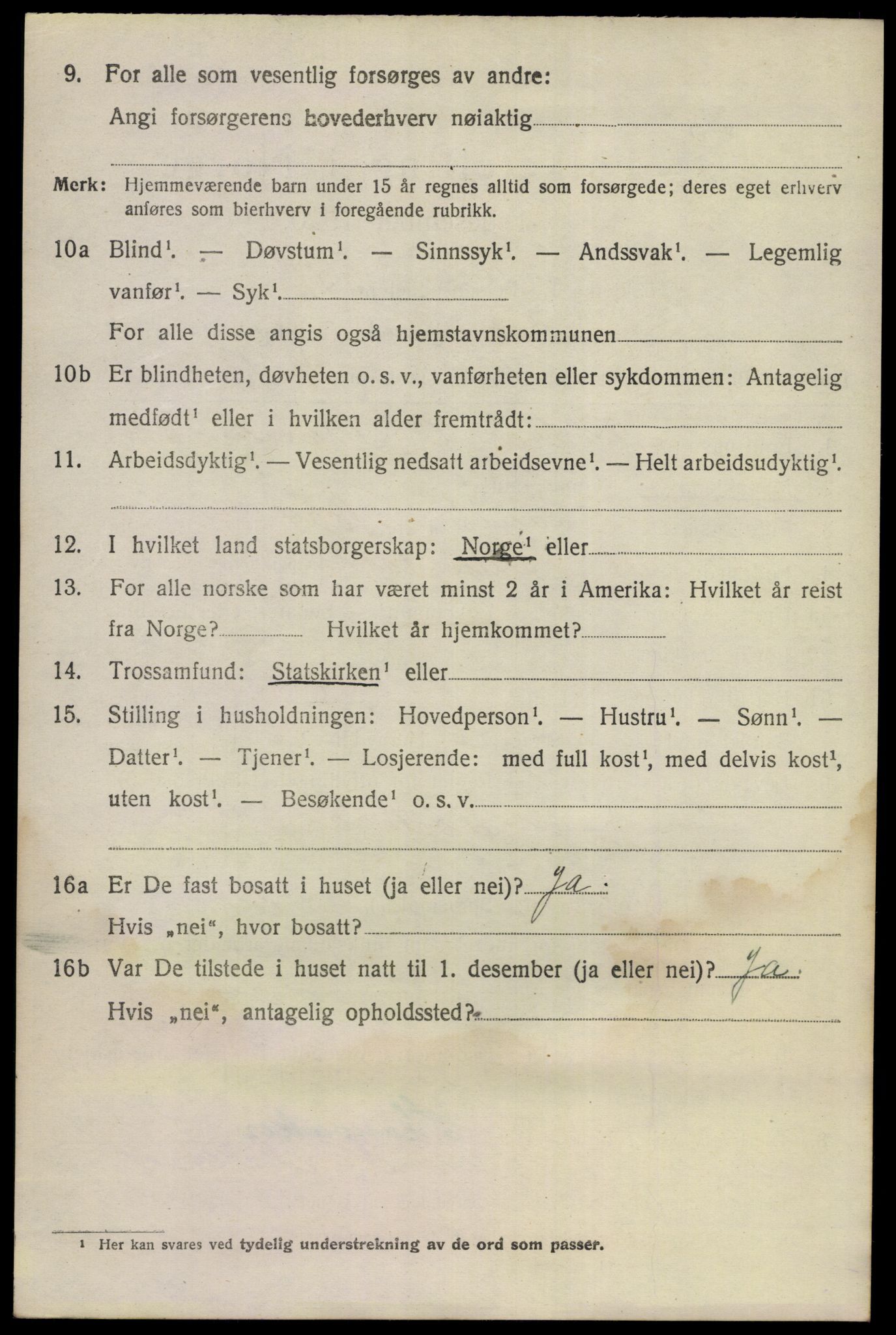 SAKO, 1920 census for Nes (Buskerud), 1920, p. 5013