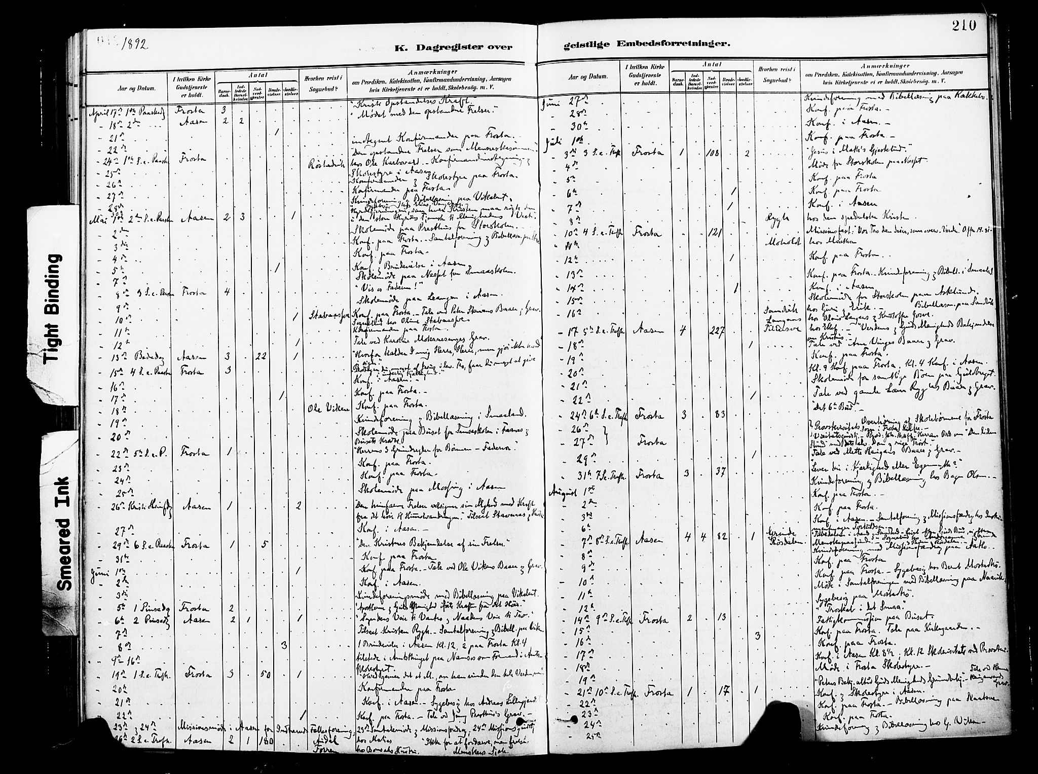 Ministerialprotokoller, klokkerbøker og fødselsregistre - Nord-Trøndelag, SAT/A-1458/713/L0121: Parish register (official) no. 713A10, 1888-1898, p. 210