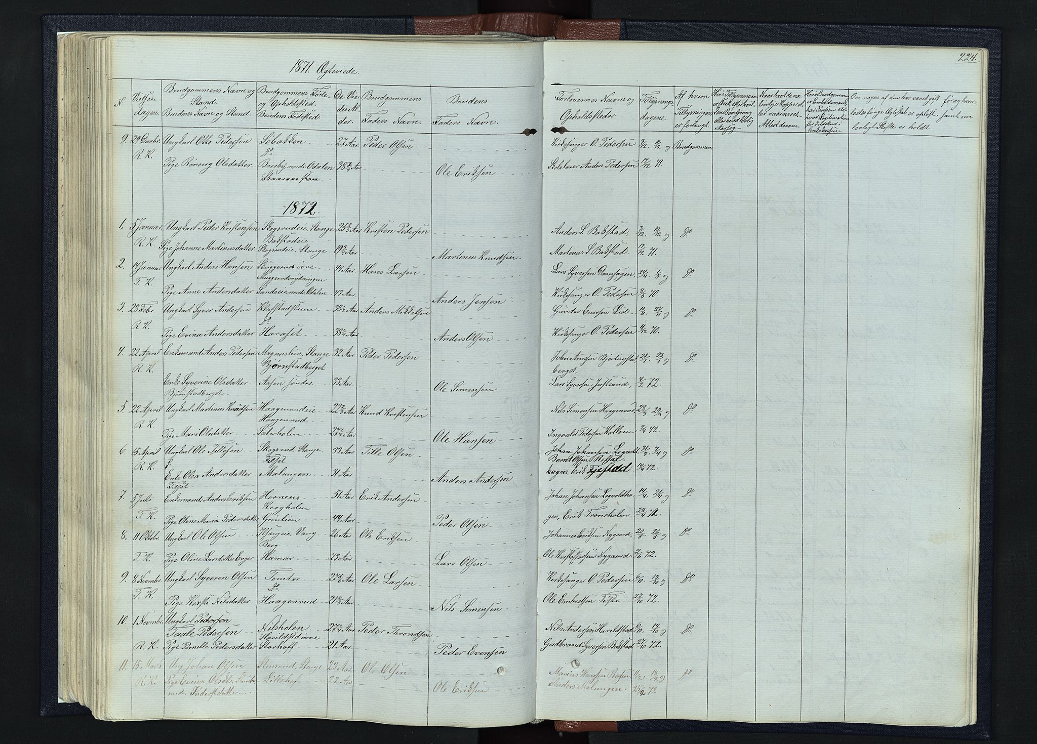 Romedal prestekontor, SAH/PREST-004/L/L0010: Parish register (copy) no. 10, 1860-1895, p. 224
