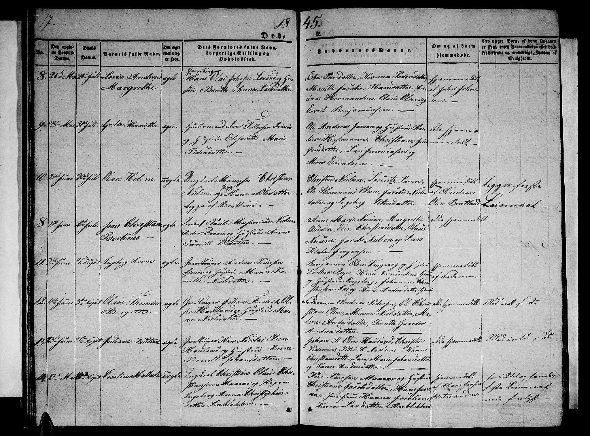 Ministerialprotokoller, klokkerbøker og fødselsregistre - Nordland, AV/SAT-A-1459/839/L0572: Parish register (copy) no. 839C02, 1841-1873, p. 17