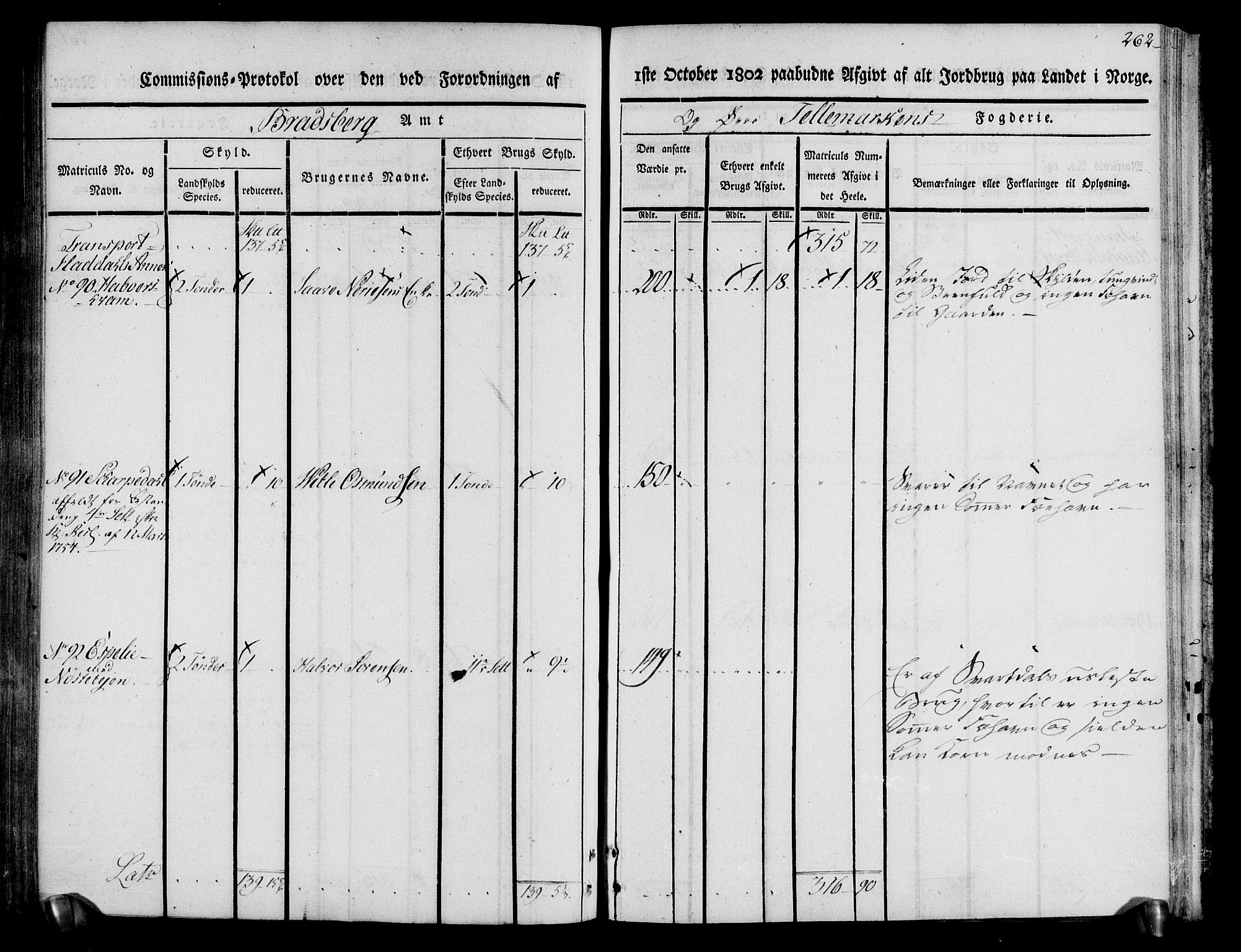 Rentekammeret inntil 1814, Realistisk ordnet avdeling, AV/RA-EA-4070/N/Ne/Nea/L0074: Øvre Telemarken fogderi. Kommisjonsprotokoll for fogderiets østre del - Tinn, Hjartdal og Seljord prestegjeld., 1803, p. 262