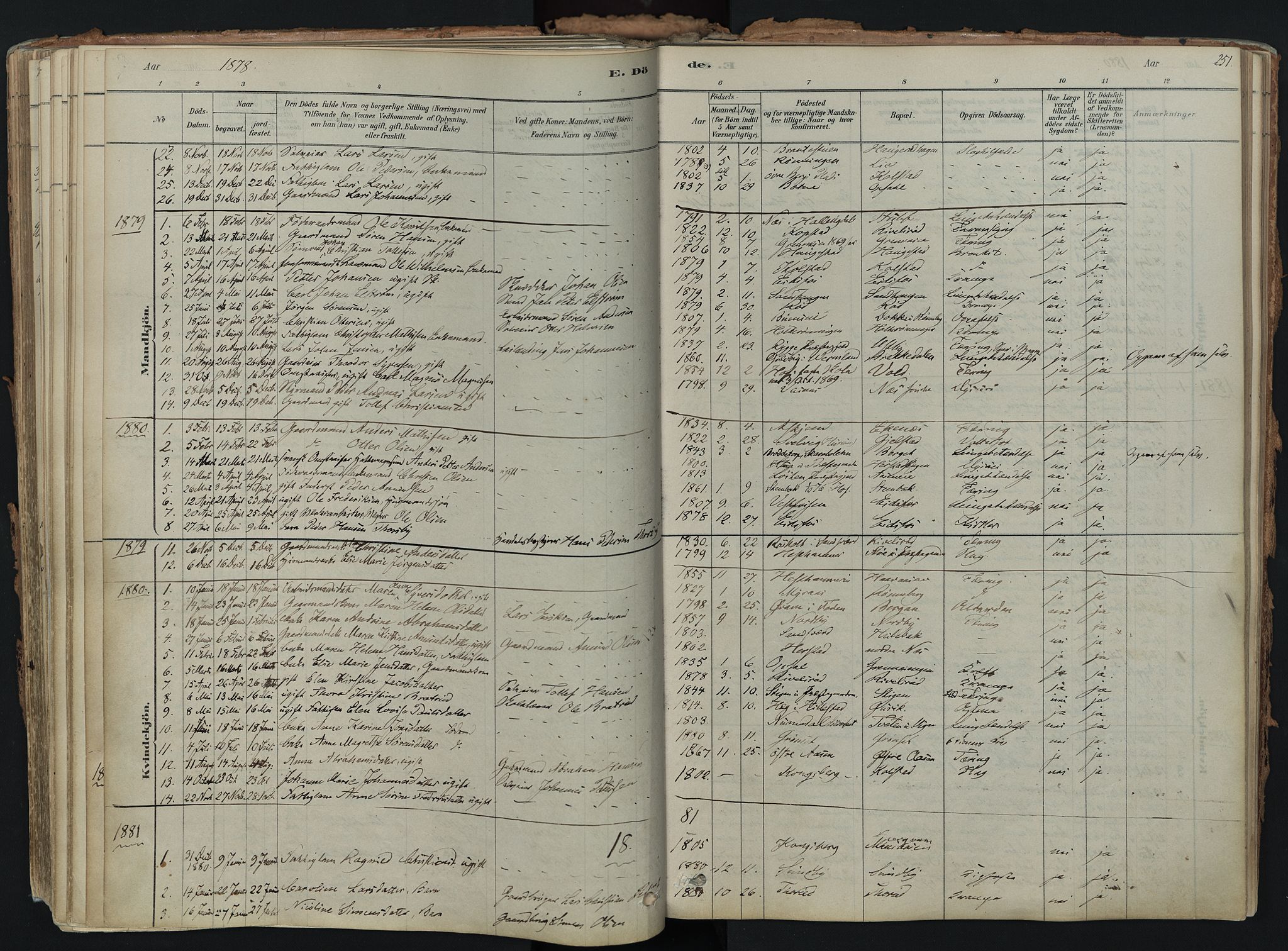 Hof kirkebøker, SAKO/A-64/F/Fa/L0007: Parish register (official) no. I 7, 1878-1940, p. 251