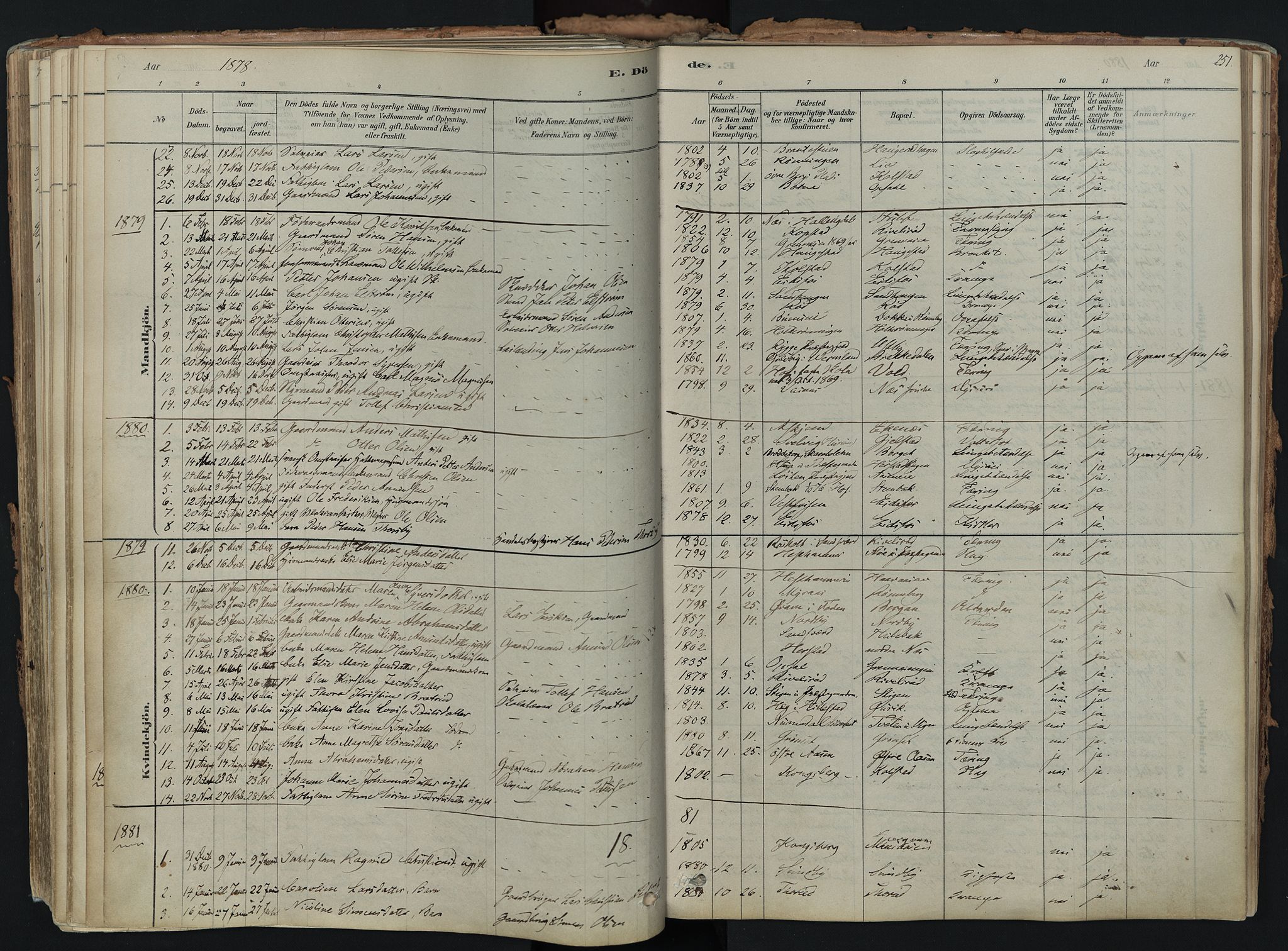 Hof kirkebøker, AV/SAKO-A-64/F/Fa/L0007: Parish register (official) no. I 7, 1878-1940, p. 251