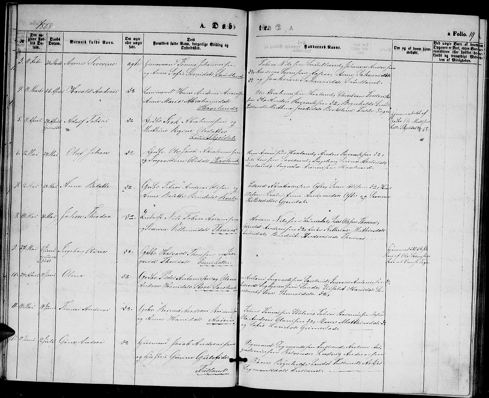 Herad sokneprestkontor, AV/SAK-1111-0018/F/Fb/Fba/L0003: Parish register (copy) no. B 3, 1863-1883, p. 19